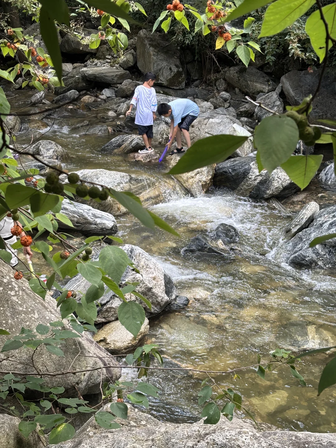 西安1h免费爬山真香❗亲子友好可玩水💦不累