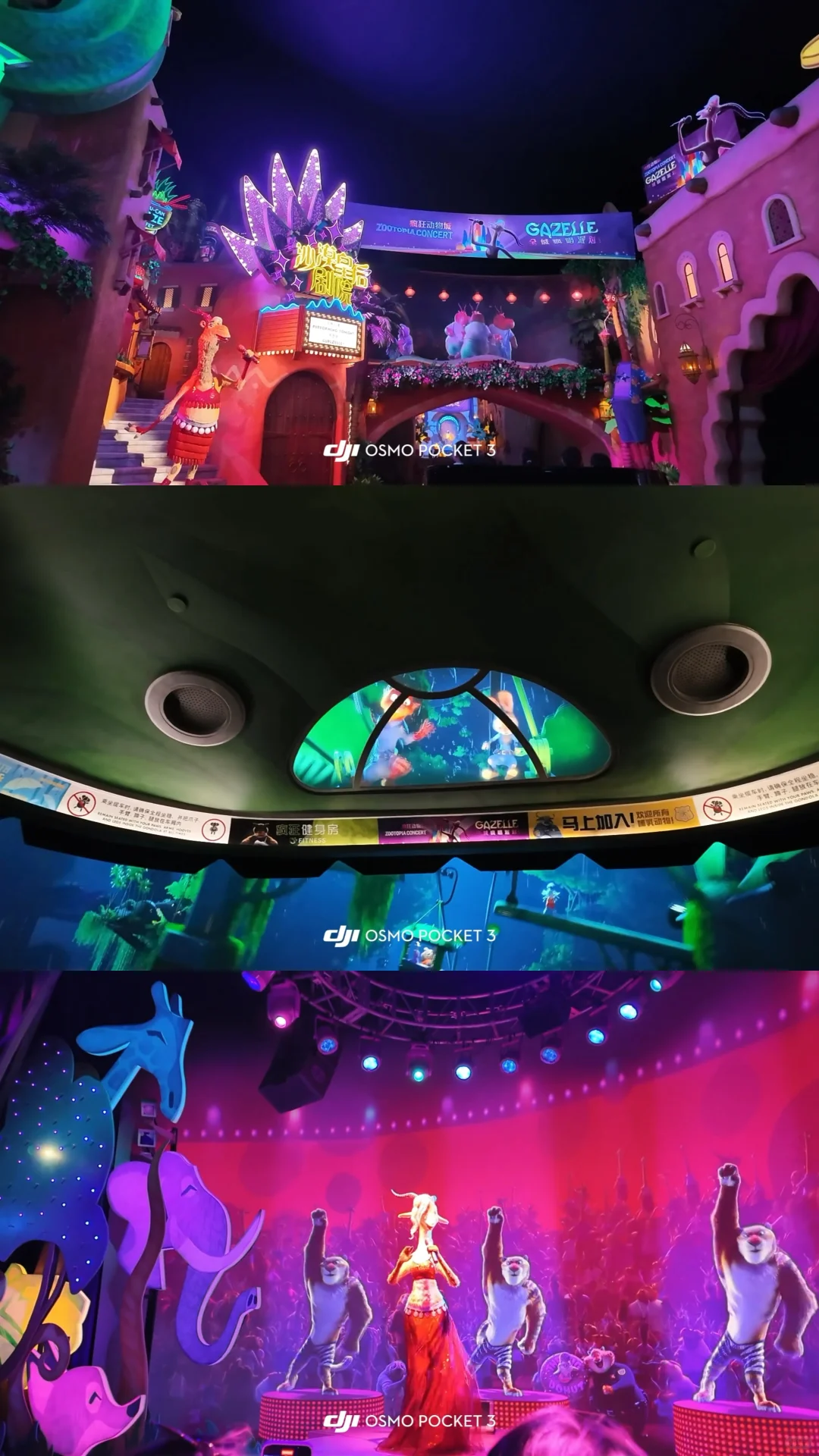 祝你拥有神奇的一天𝑫𝒊𝒔𝒏𝒆𝒚 𝒅𝒂𝒚🎠