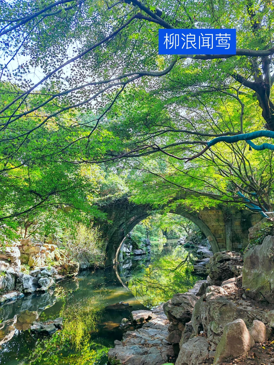 我道歉！求求你们！别来西湖了，比非洲还热