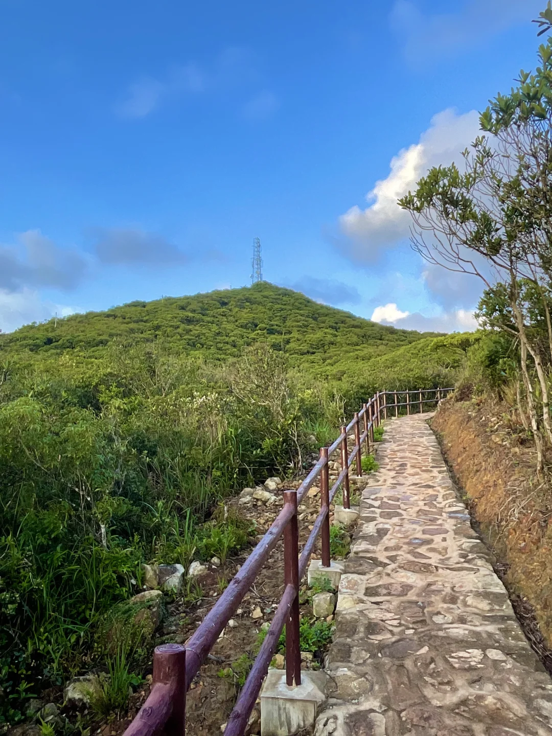 🇭🇰香港爬山｜景美易走 南朗山 香港仔水塘