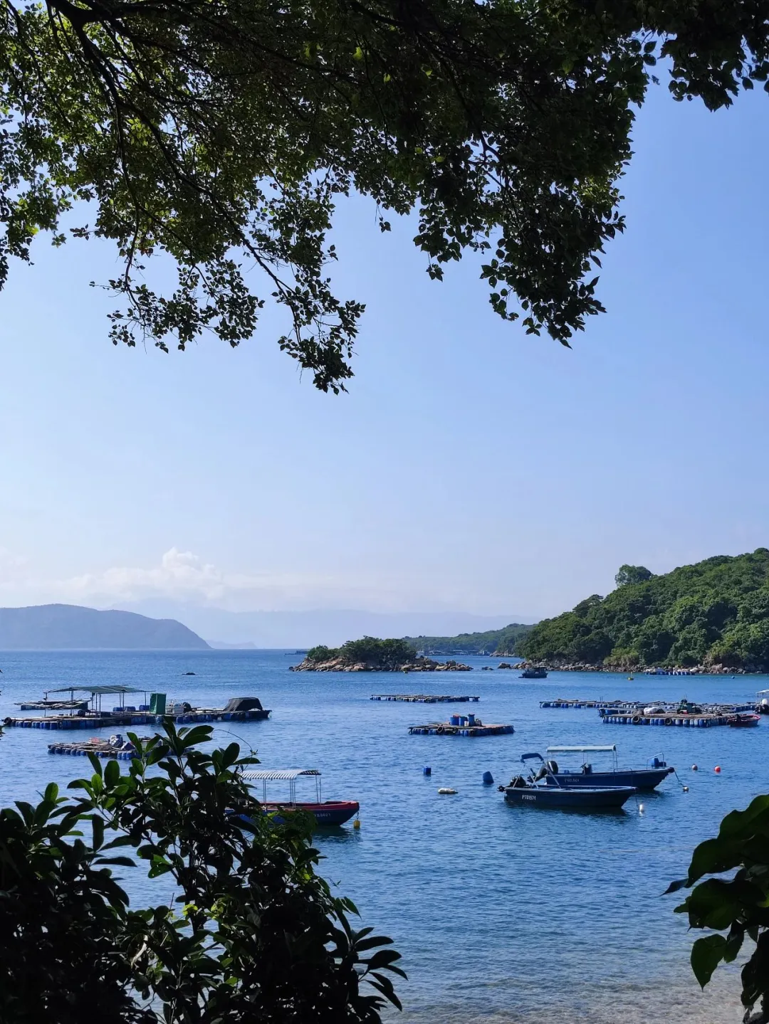 我宣布！这是国内最值得去的海岛！