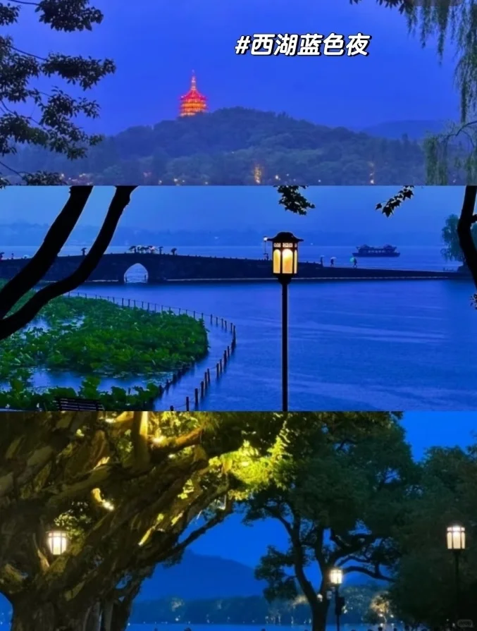 我道歉！求求你们！别来西湖了，比非洲还热