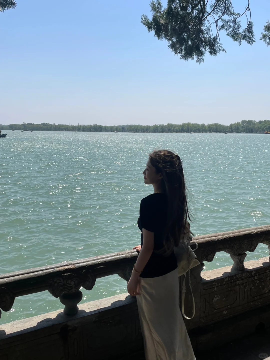 救命！！颐和园的夏天直接美到我心巴上！！