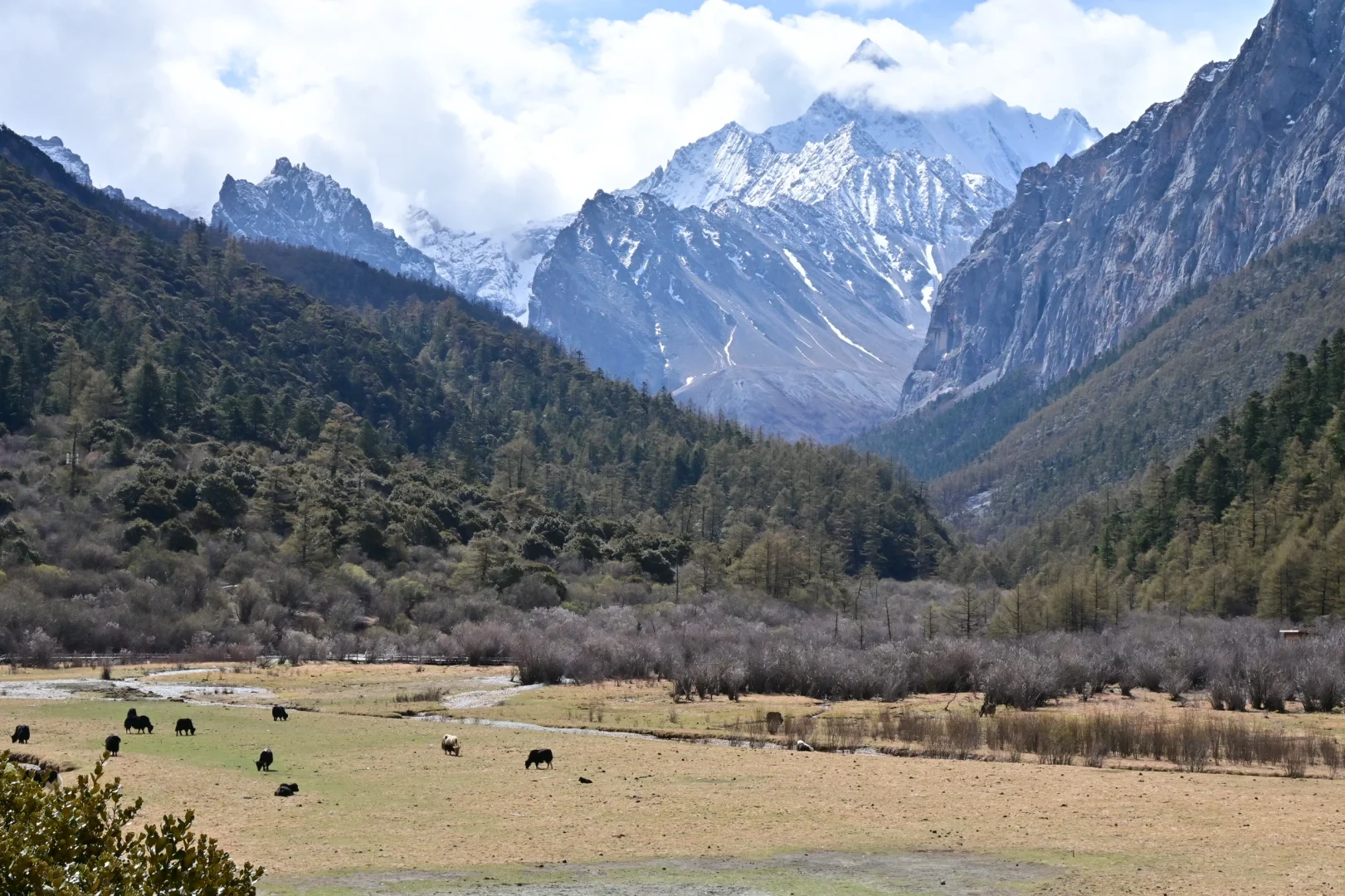 世界这本书多又读了一页｜五一自驾稻城亚丁