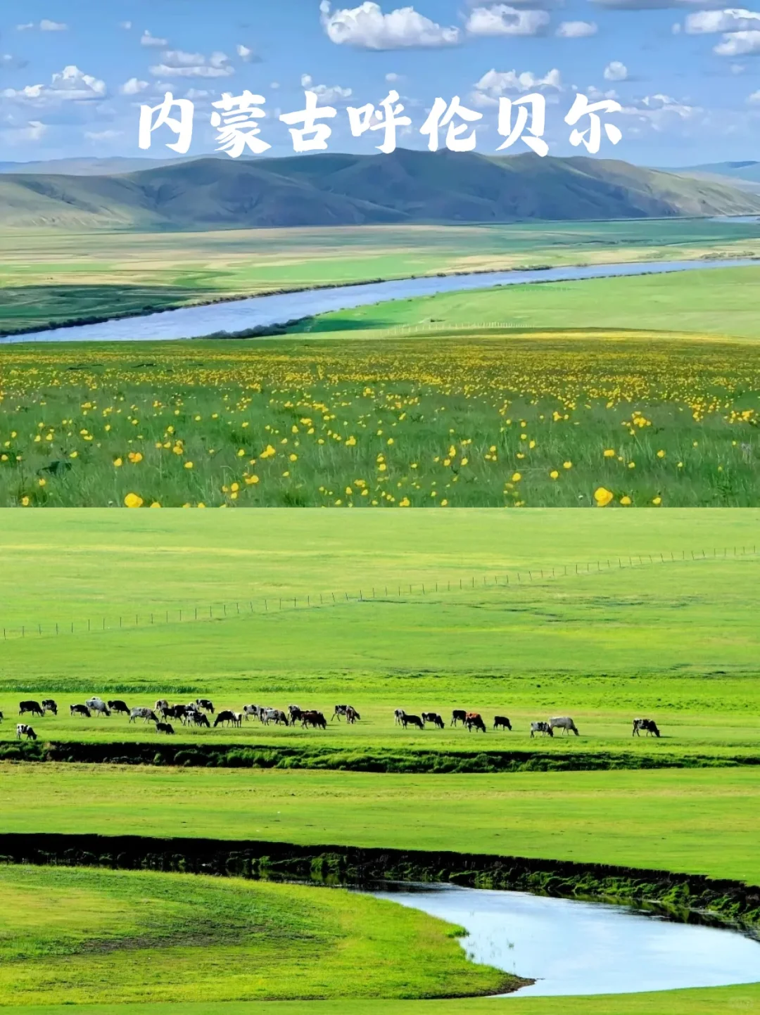 嘉桐妈妈亲测！带娃暑假避暑这8处绝了