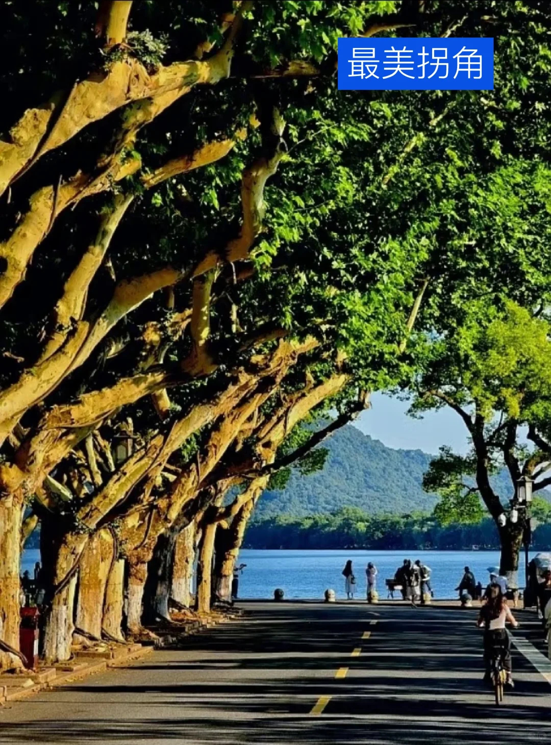 我道歉！求求你们！别来西湖了，比非洲还热