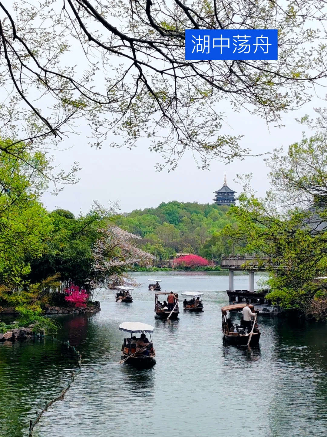 我道歉！求求你们！别来西湖了，比非洲还热