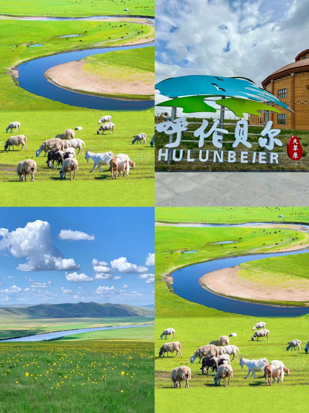 7-8月亲子游，国内最凉快的地方❗️