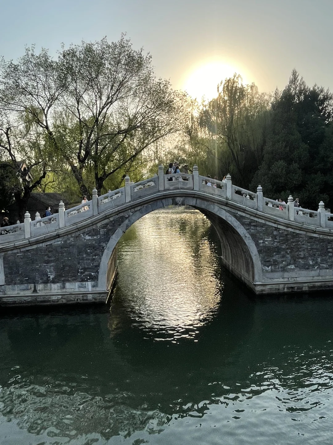 救命！！颐和园的夏天直接美到我心巴上！！