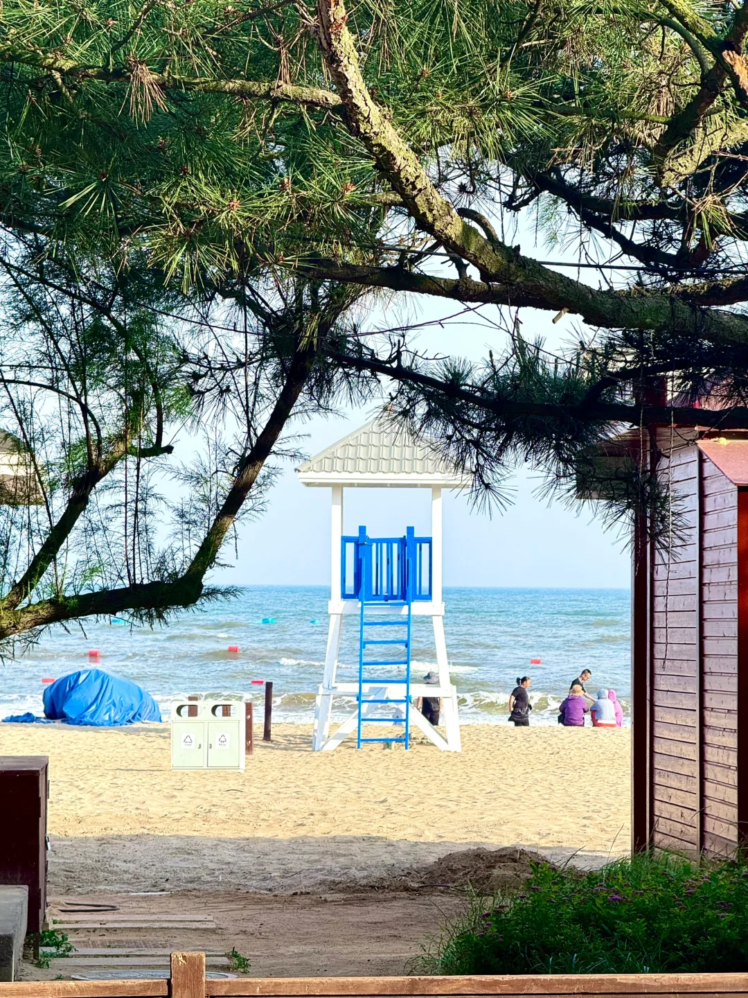 国内的北欧浪漫交给无滤镜的海🏝️秦皇岛