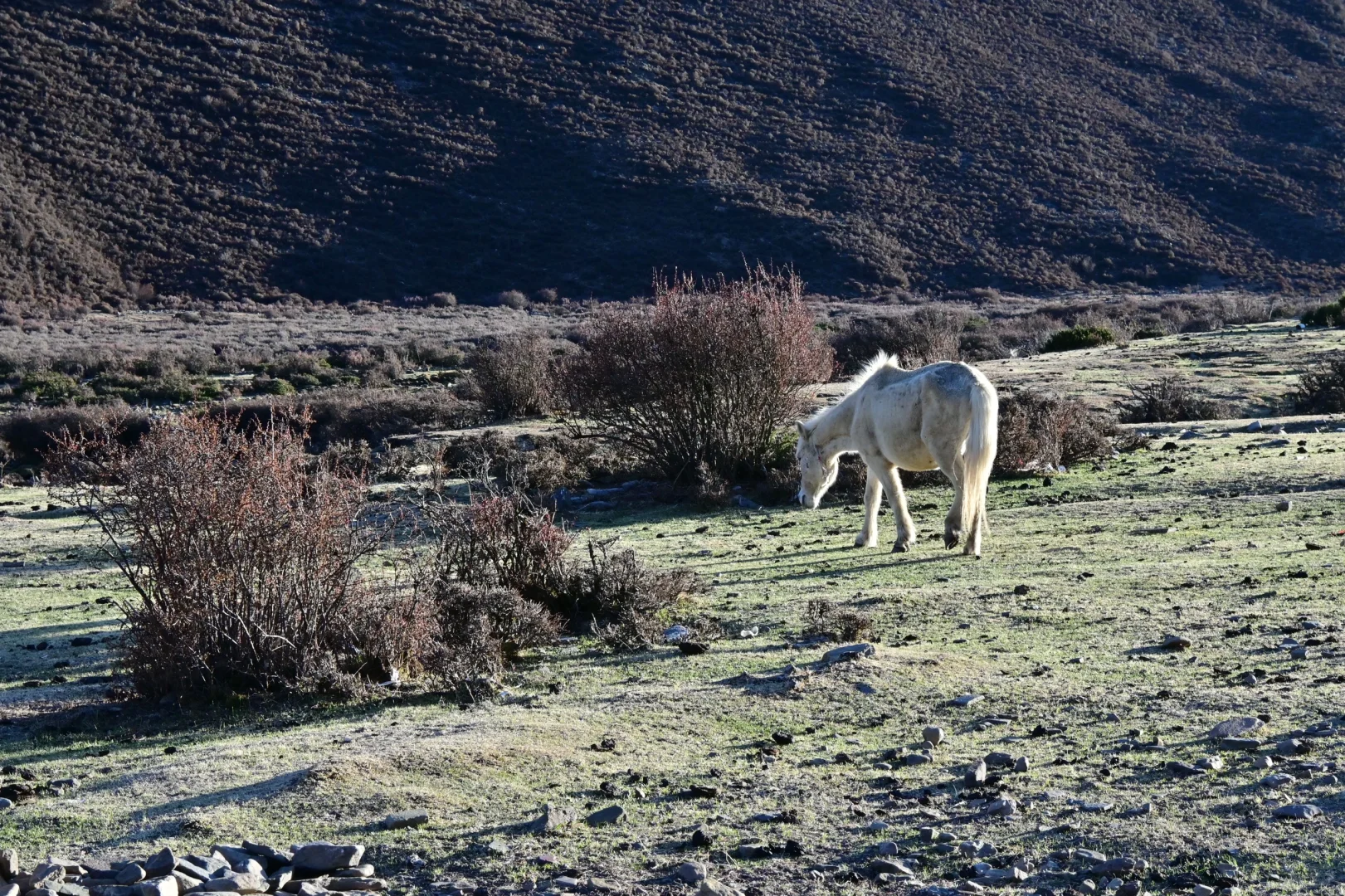 世界这本书多又读了一页｜五一自驾稻城亚丁