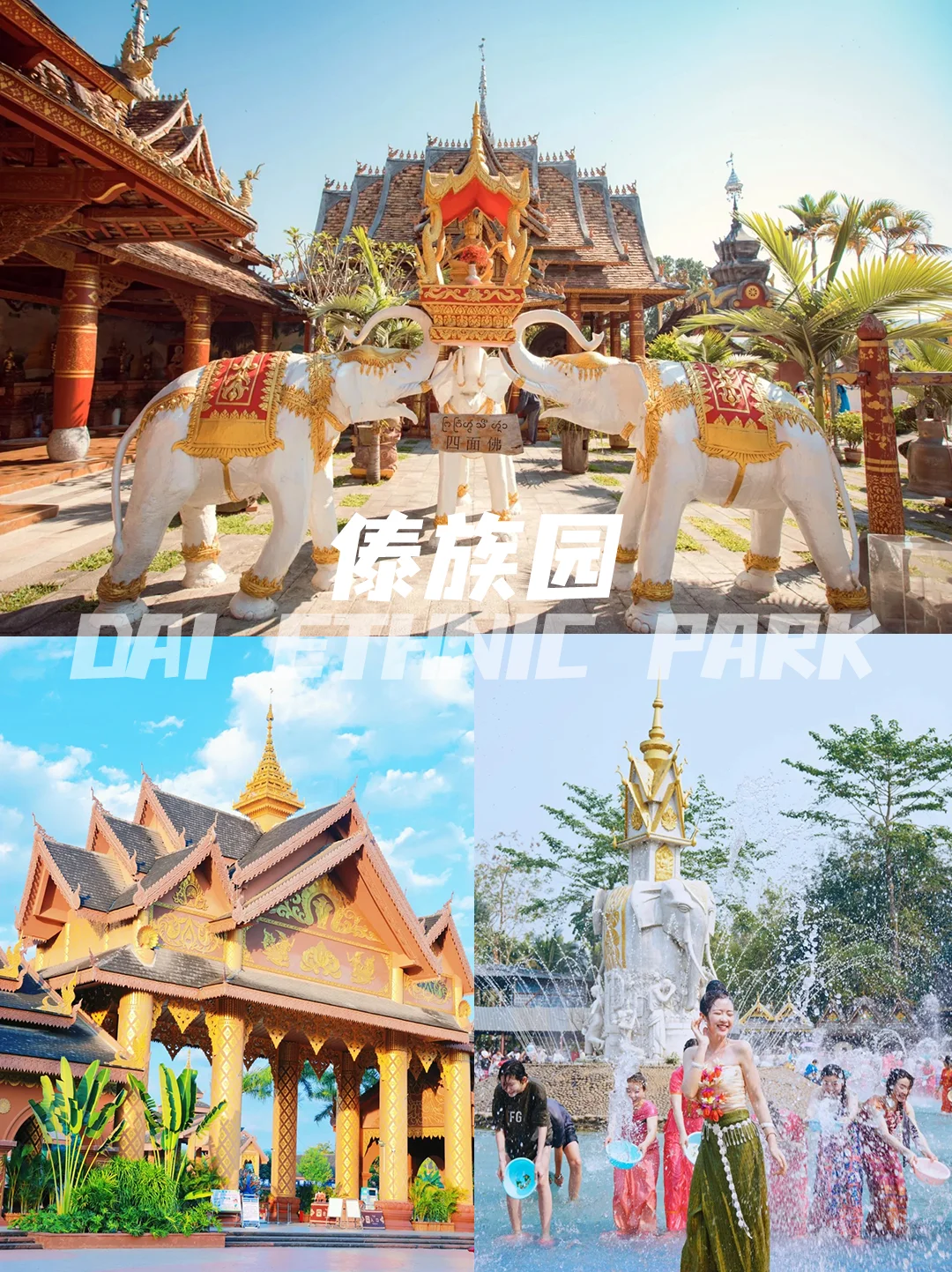 📍 西双版纳丨必玩景点攻略🔥