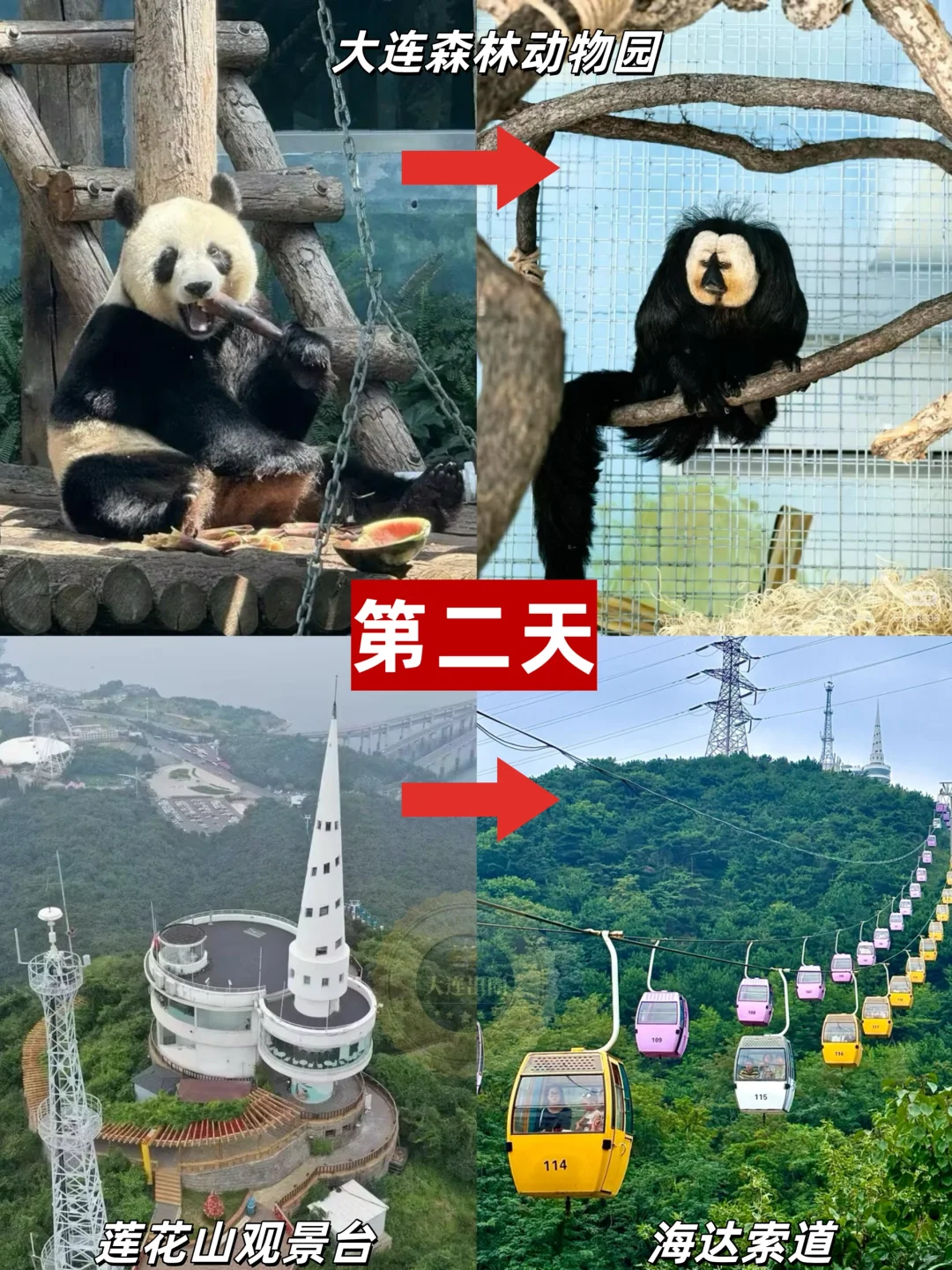 大连亲子游🔥暑假自由行攻略✅不走回头路📍