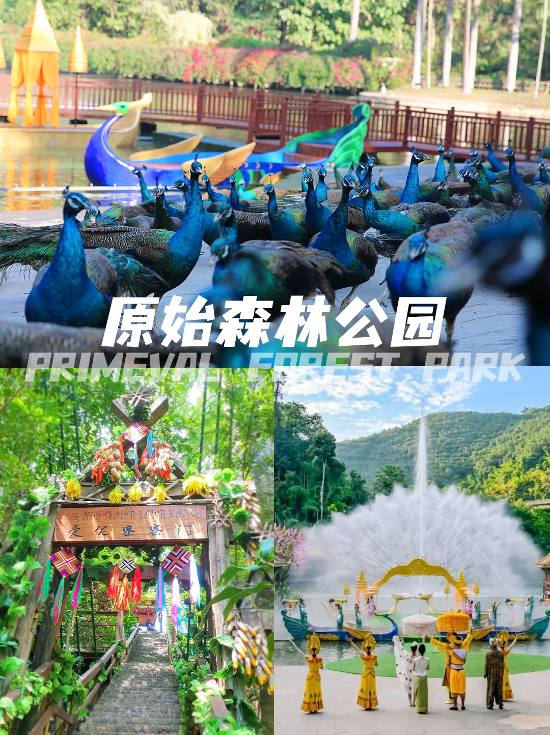 📍 西双版纳丨必玩景点攻略🔥