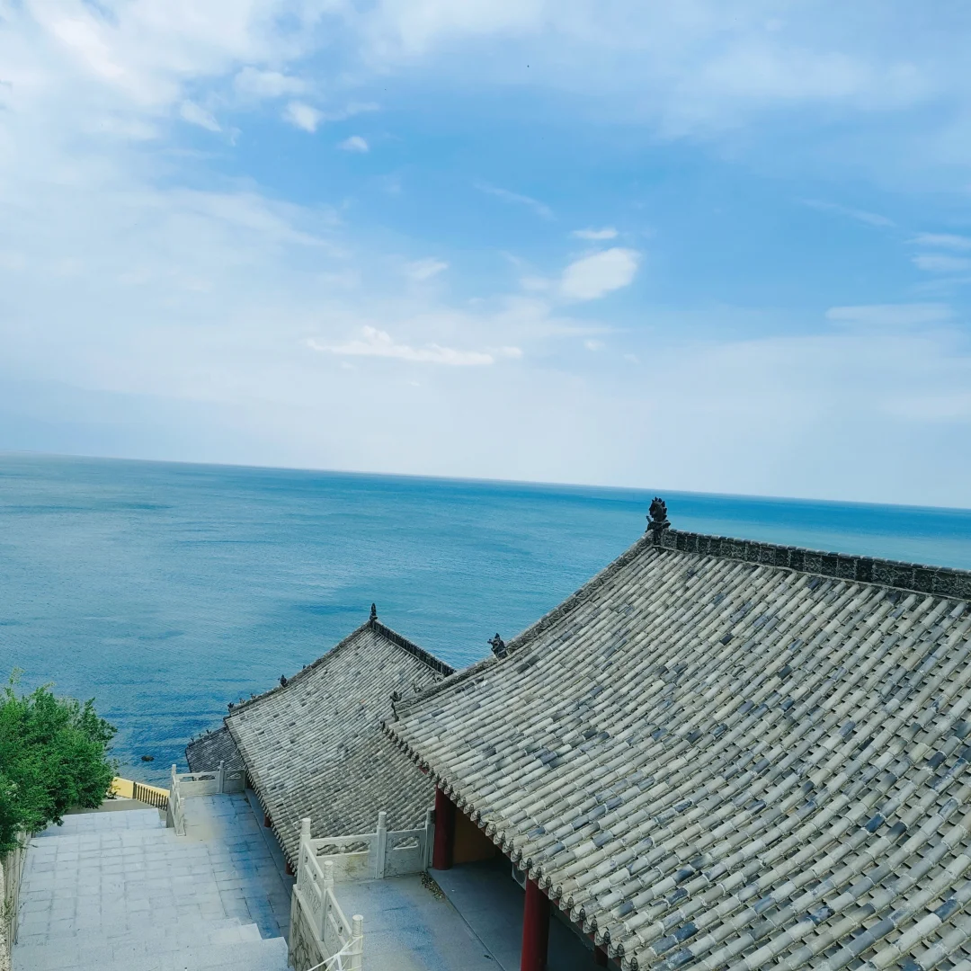 听劝，锦州会惩罚每一个不做攻略的人❗