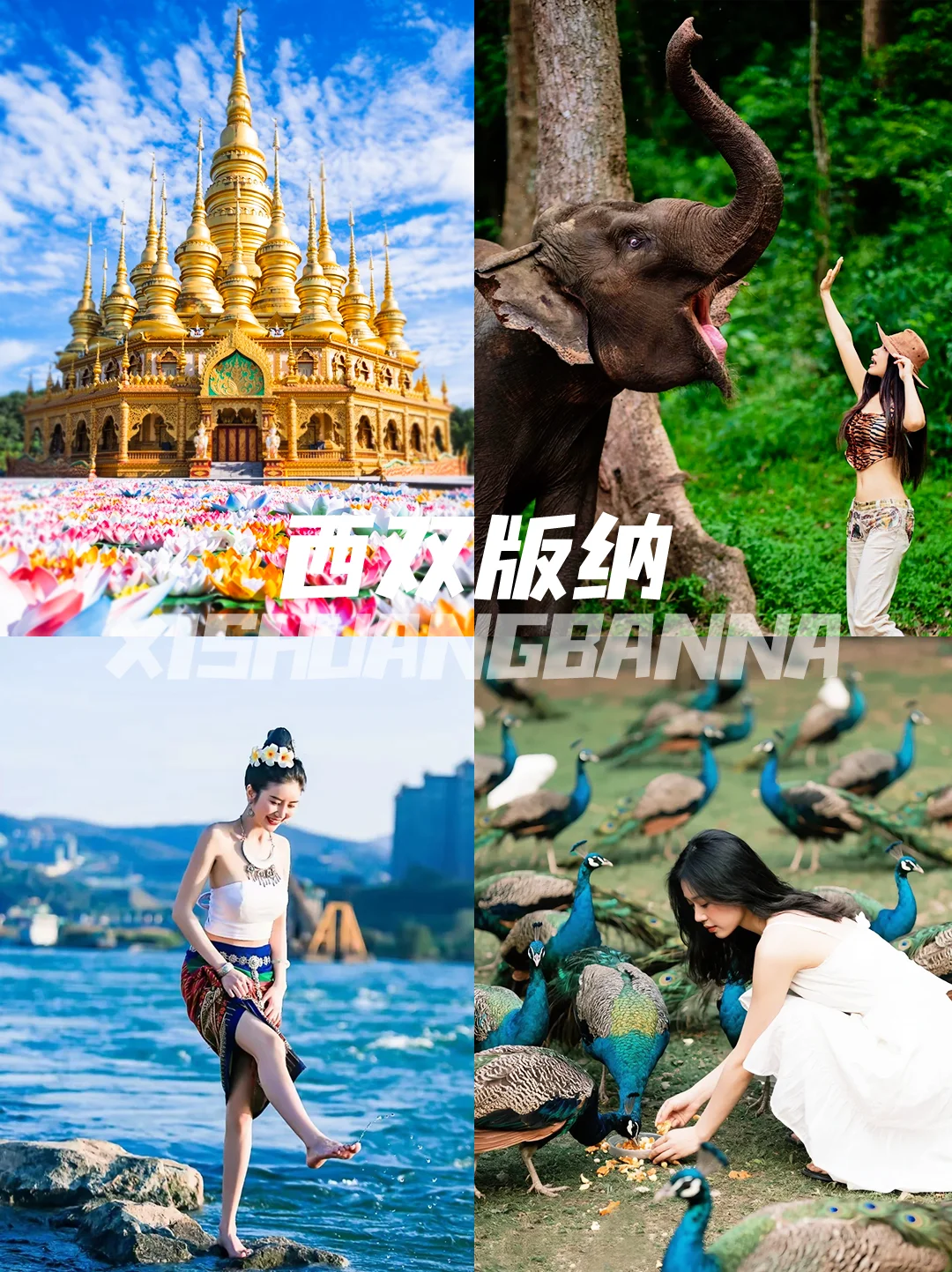 📍 西双版纳丨必玩景点攻略🔥