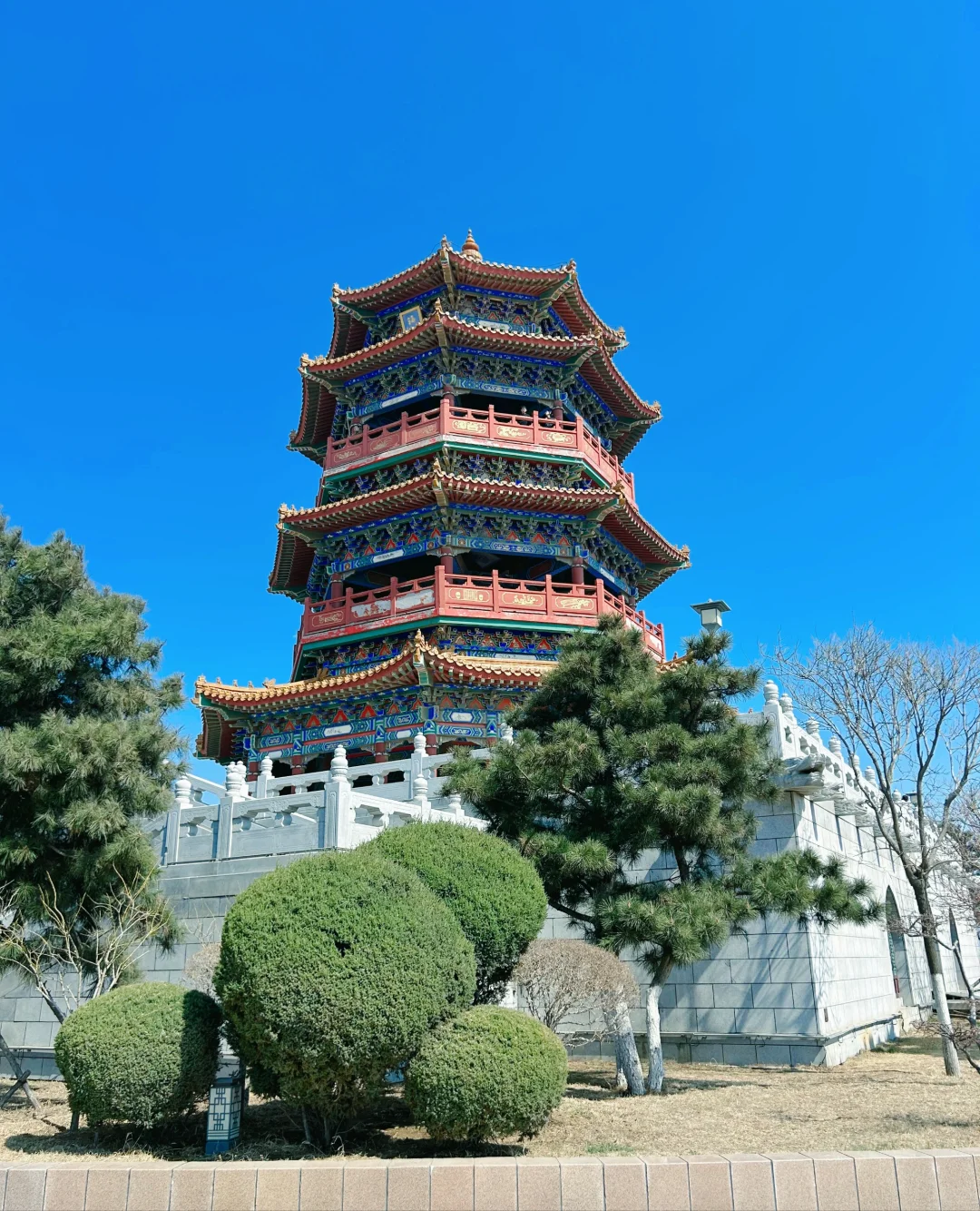 听劝，锦州会惩罚每一个不做攻略的人❗