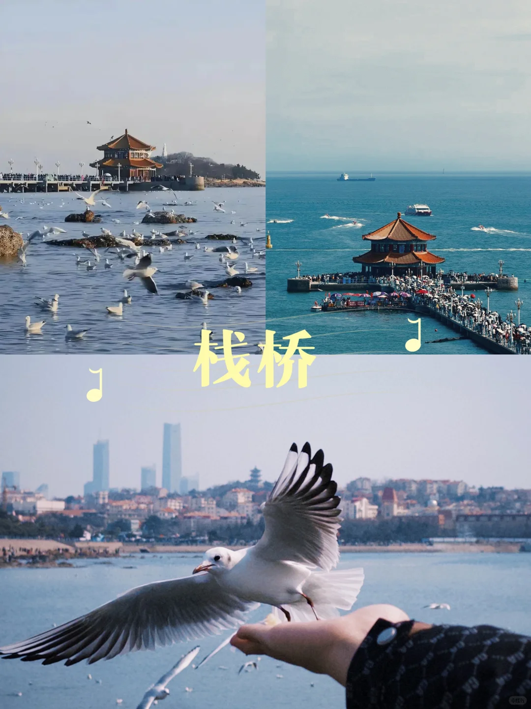 来青岛必去的9⃣️个景点‼️