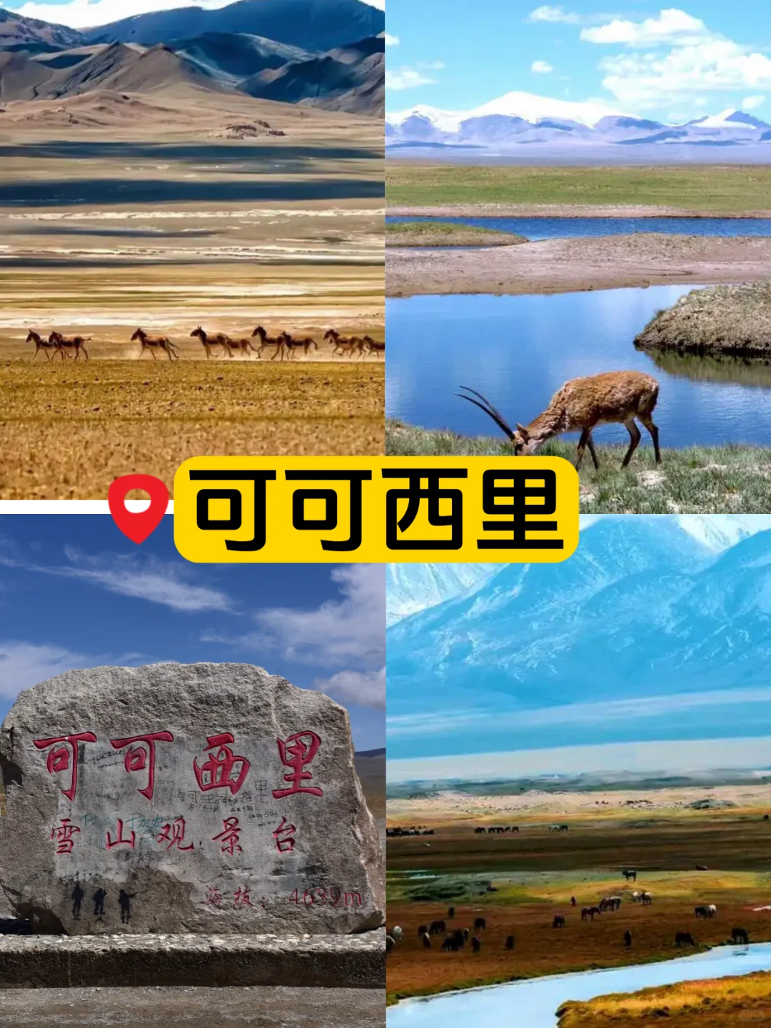 青海九大热门景点绝美打卡攻略，一键收藏✨