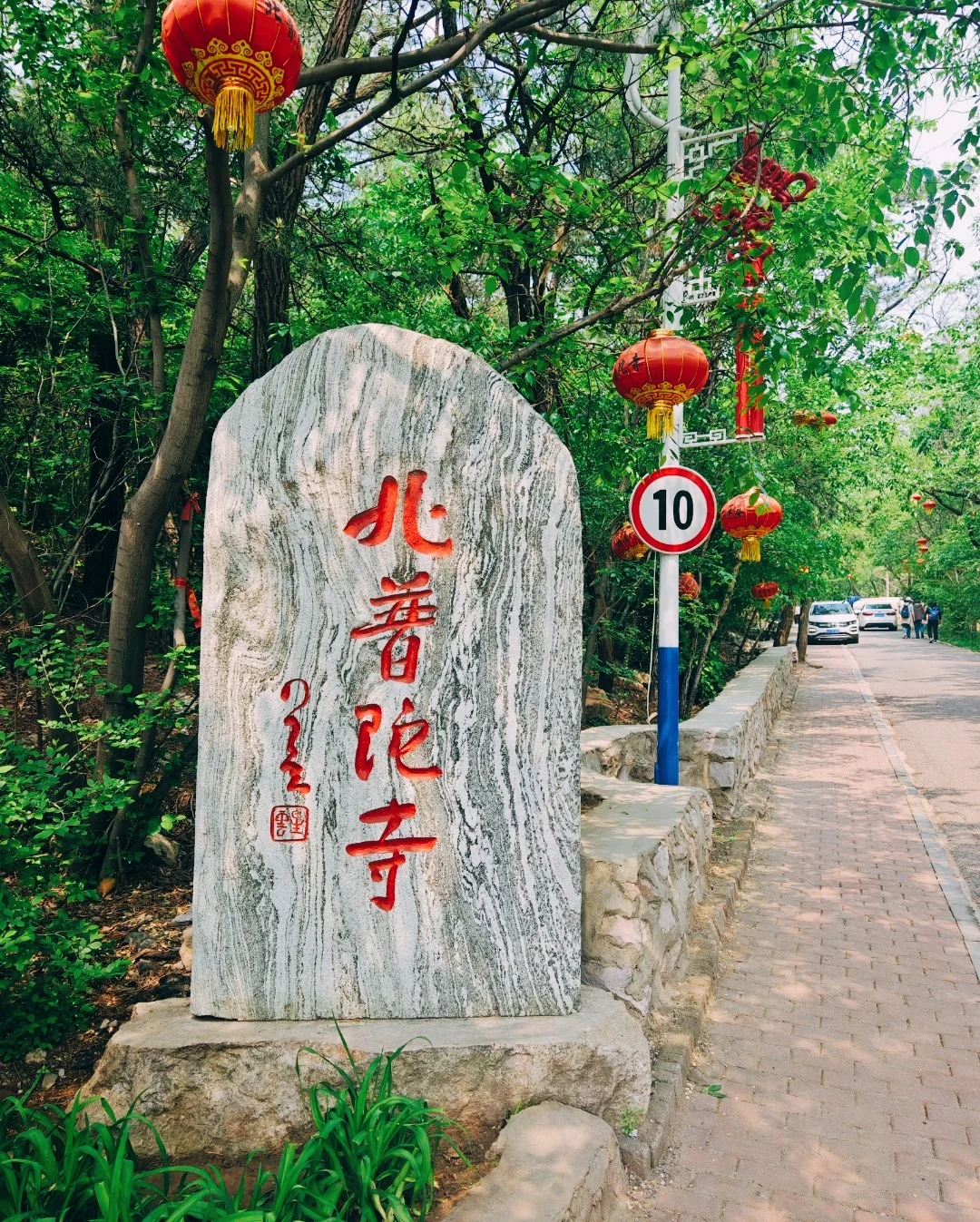 听劝，锦州会惩罚每一个不做攻略的人❗