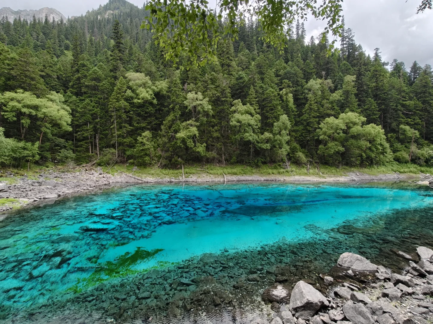 带妈妈玩成都+九寨沟（轻松版）