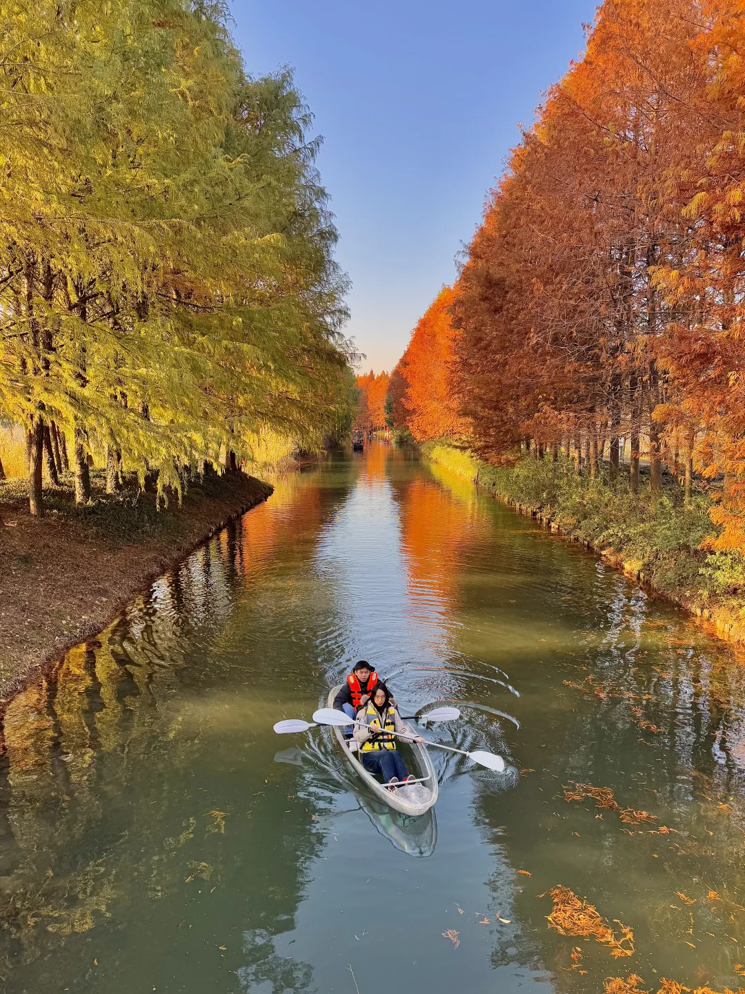 live🍂接下来的苏州,是国内秋日旅行天花板