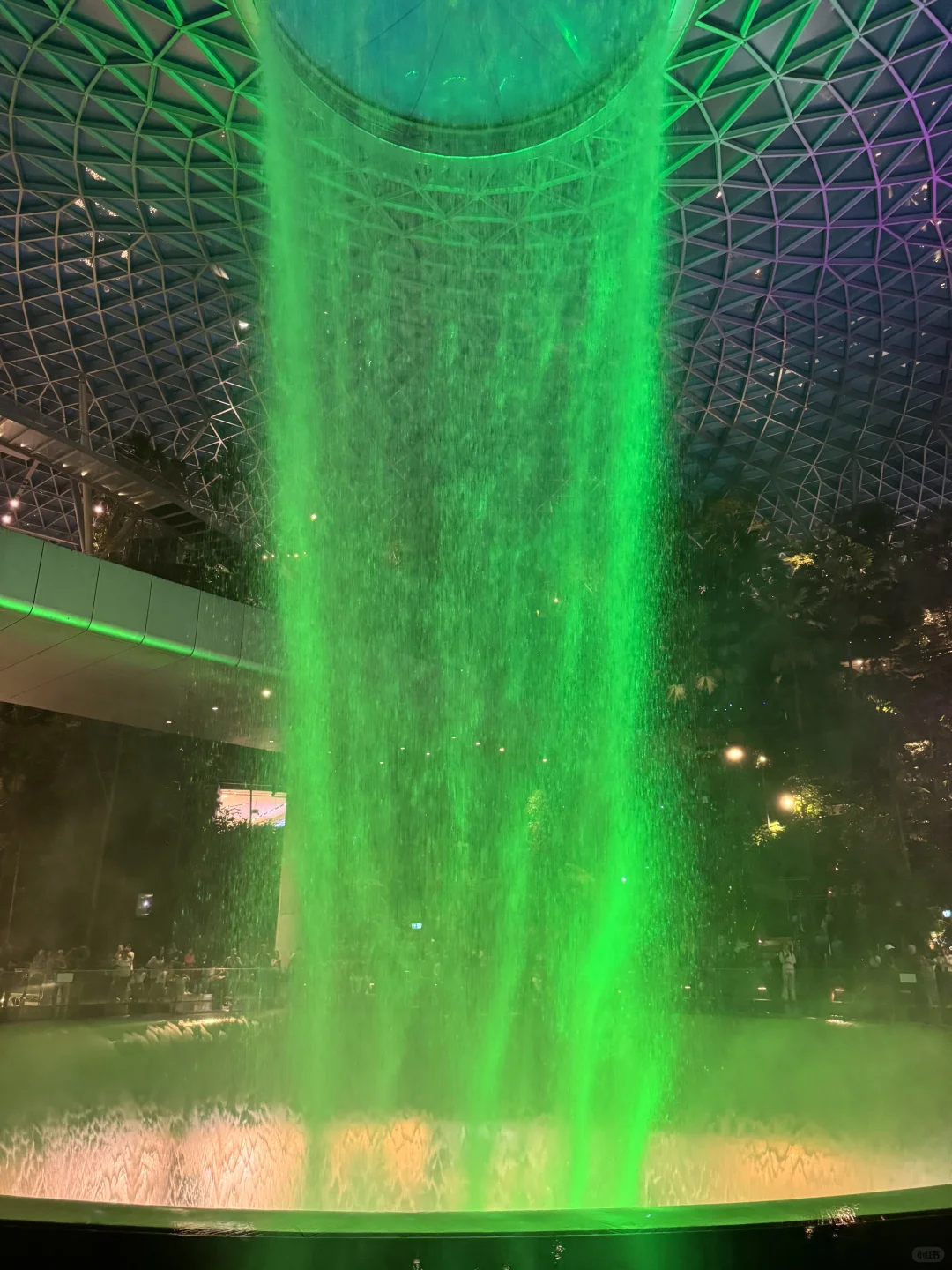 🇸🇬藏在机场里的瀑布和森林