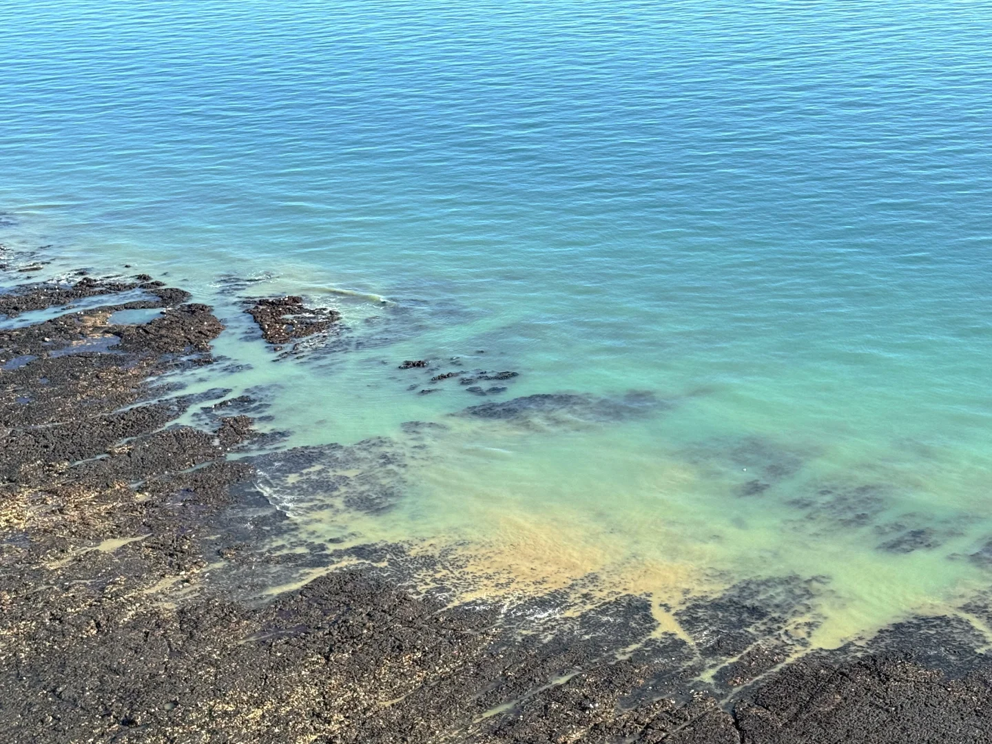 在白崖真的可以原谅全世界🌊