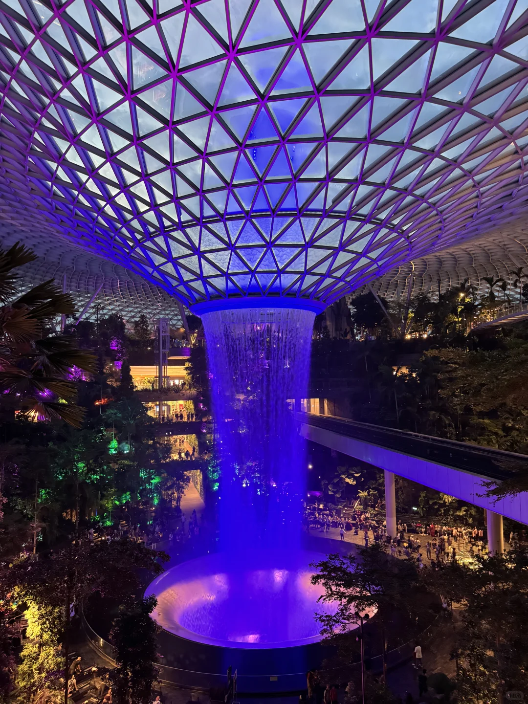 🇸🇬藏在机场里的瀑布和森林