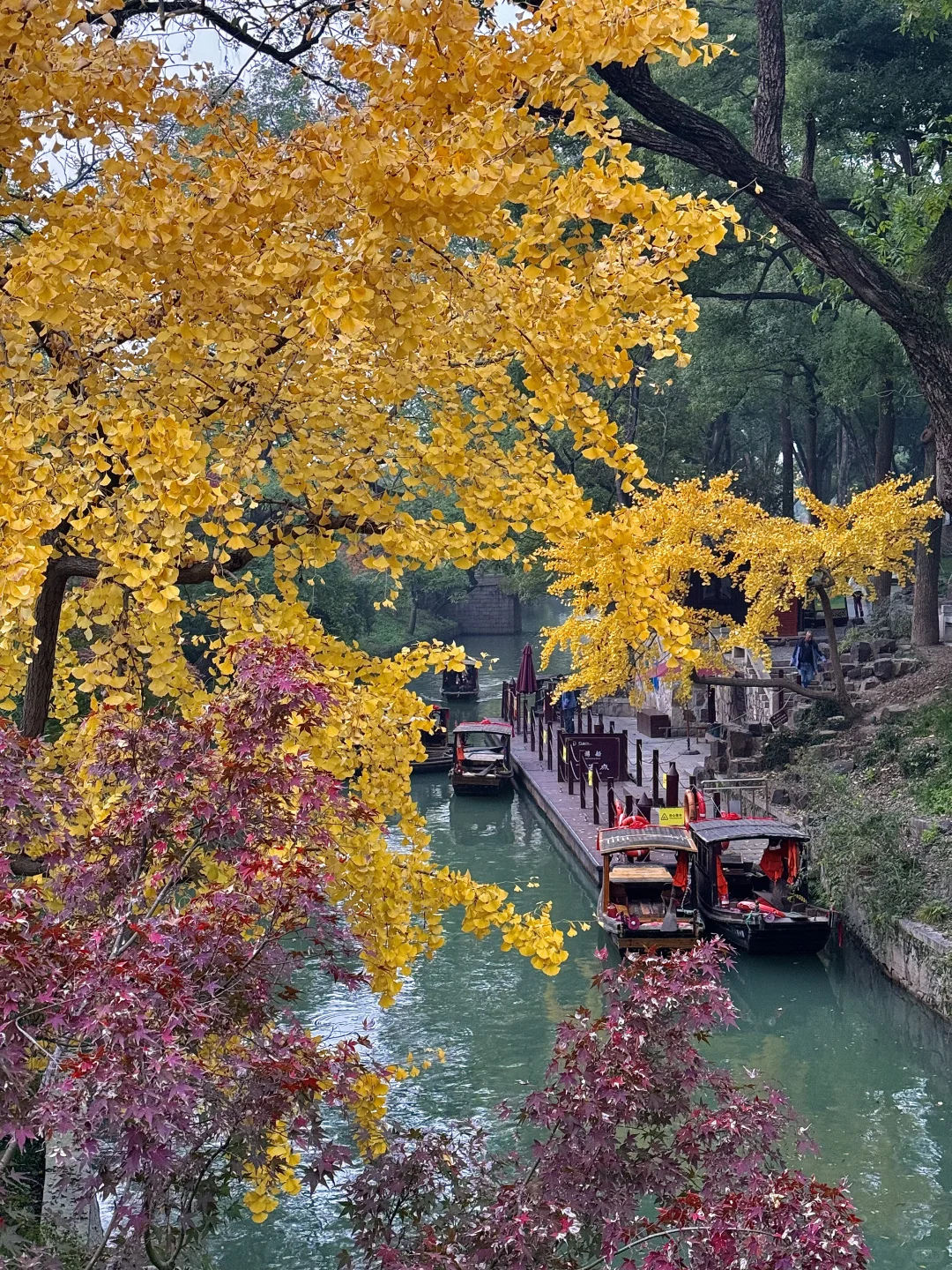 live🍂接下来的苏州,是国内秋日旅行天花板
