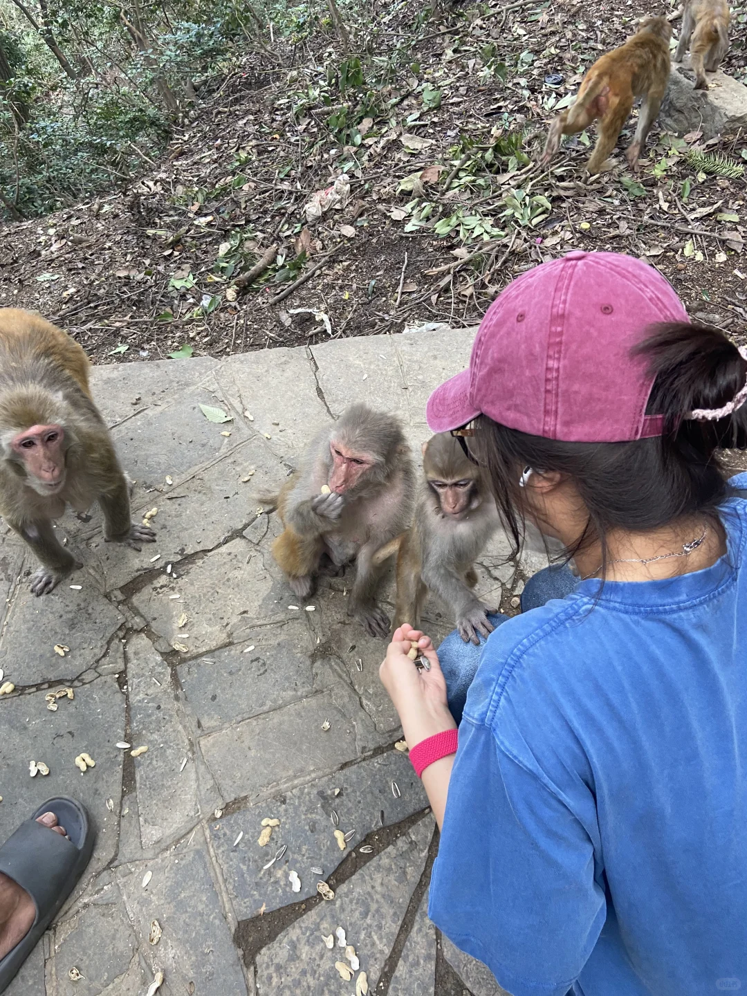 仅1.5k你还不来贵州🤗后附游玩图