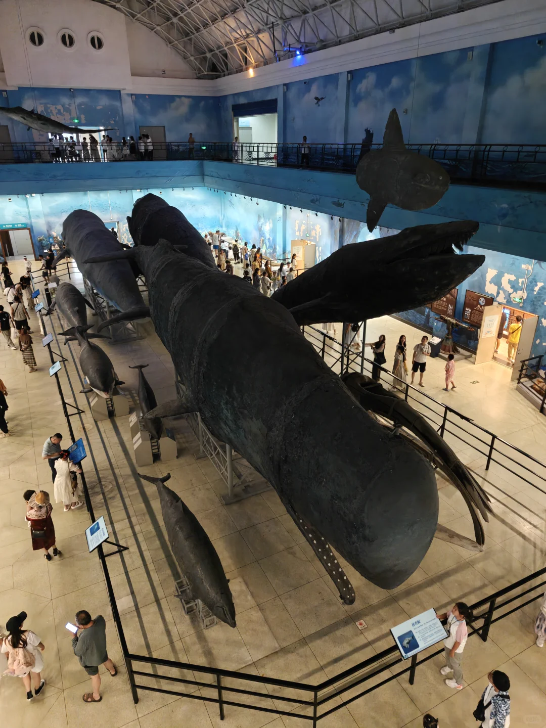 迄今为止，我和娃最喜欢的海滨城市出现了！