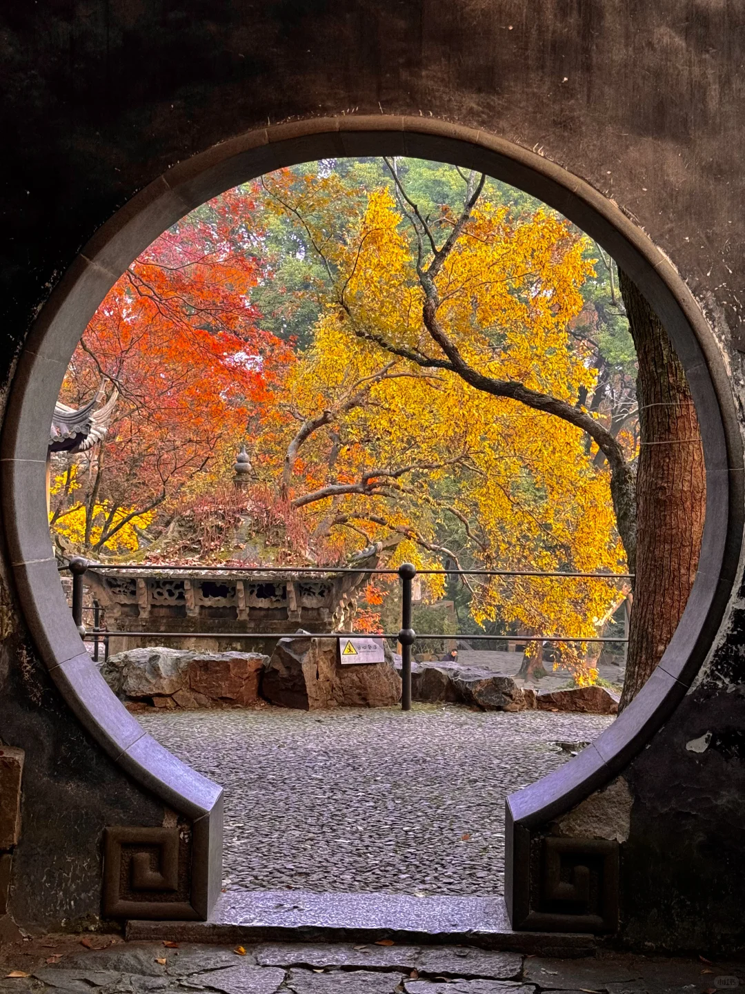 live🍂接下来的苏州,是国内秋日旅行天花板