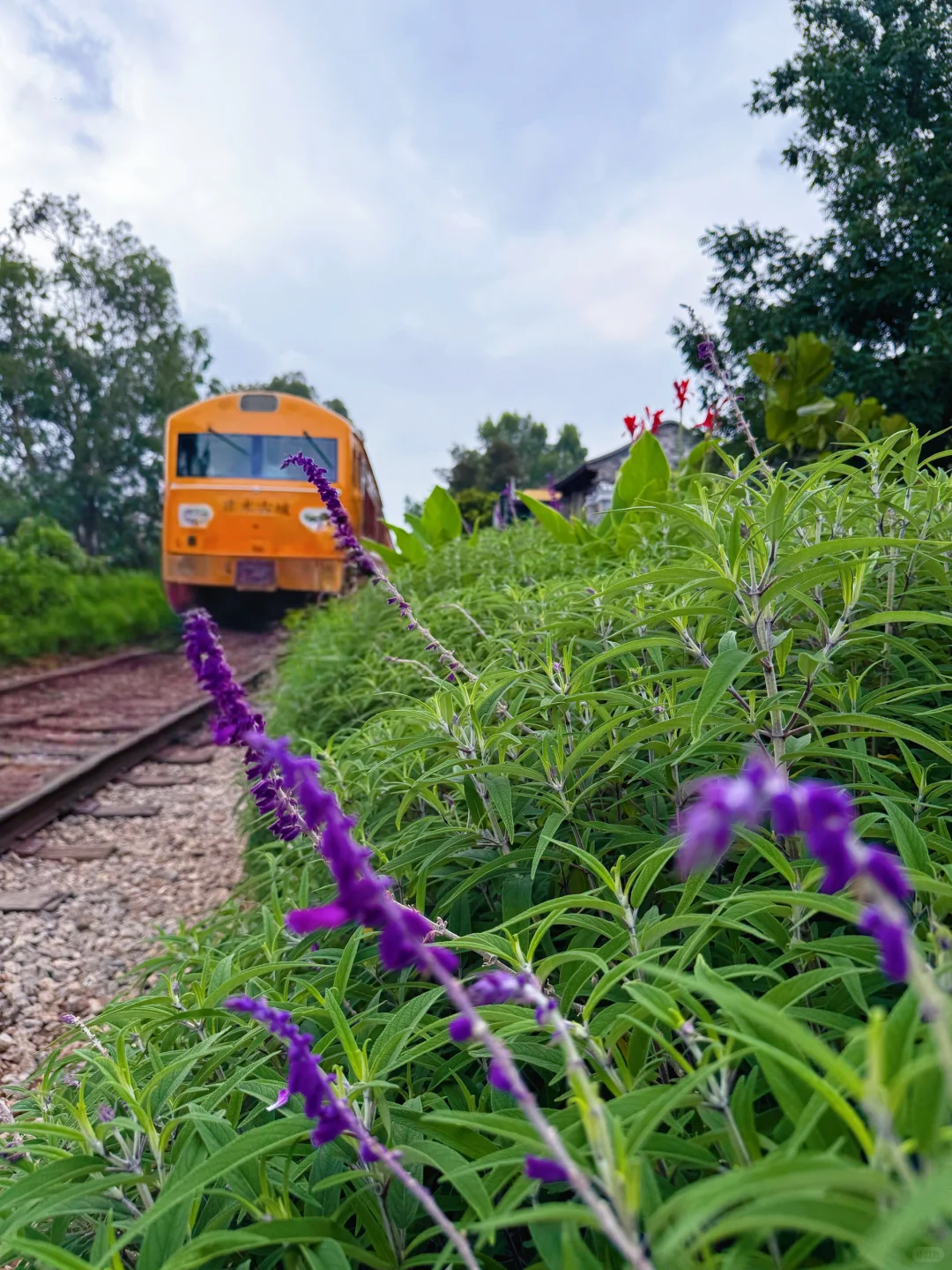 滇东南小环线 | 弥勒普者黑建水昆明