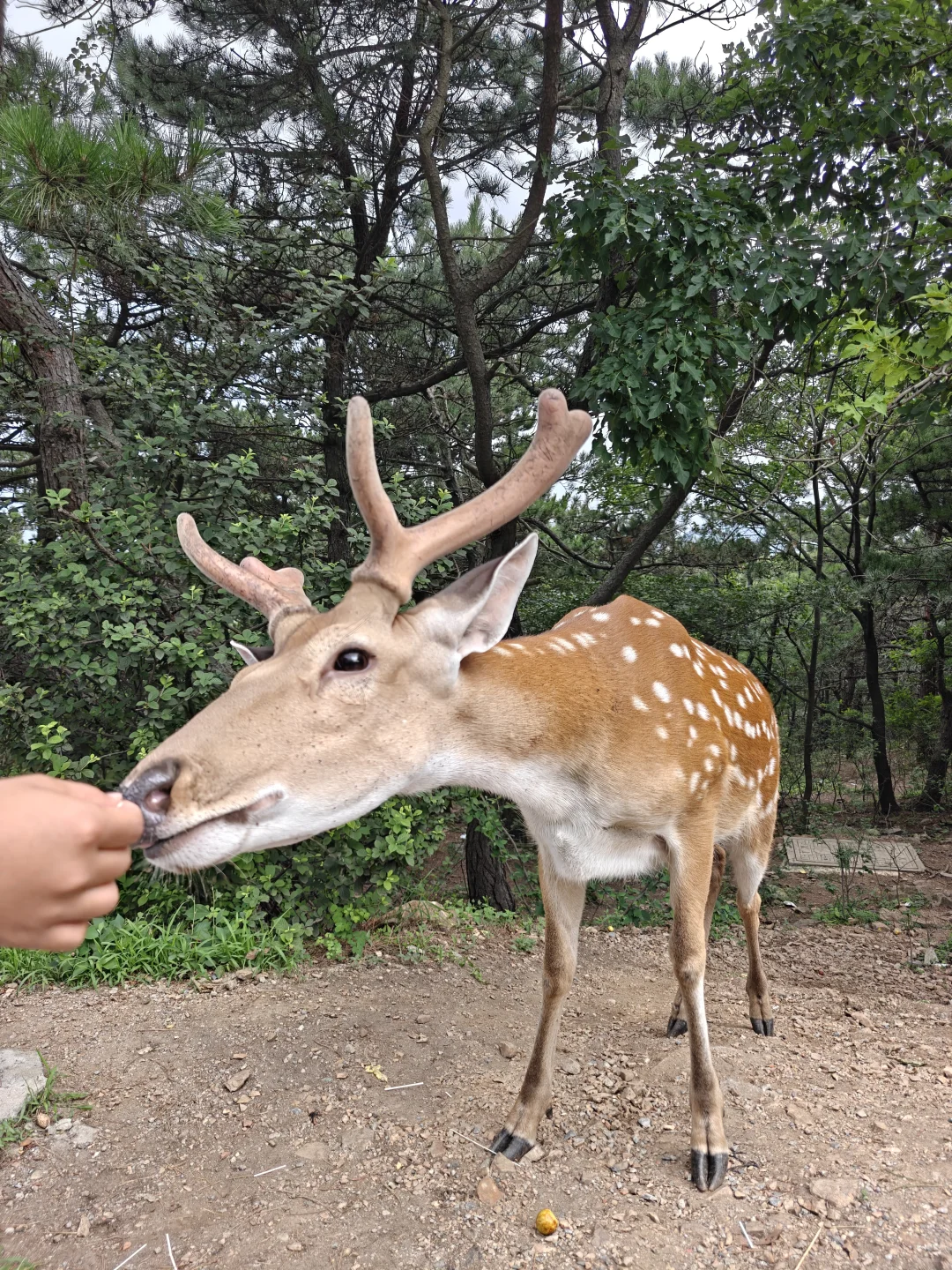 迄今为止，我和娃最喜欢的海滨城市出现了！