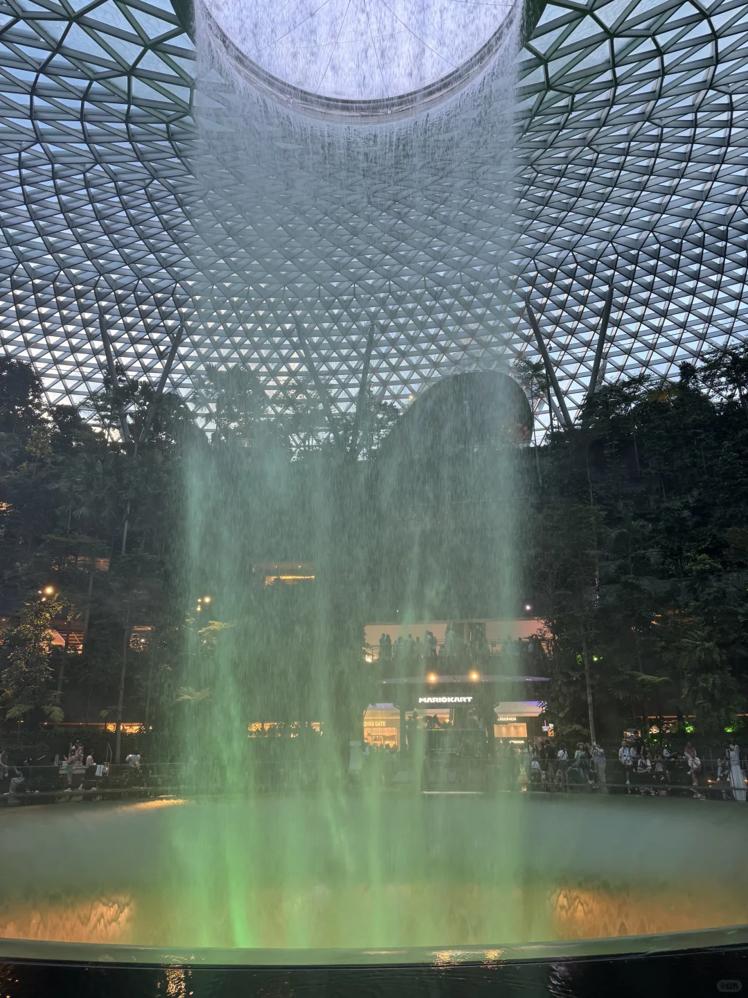 🇸🇬藏在机场里的瀑布和森林