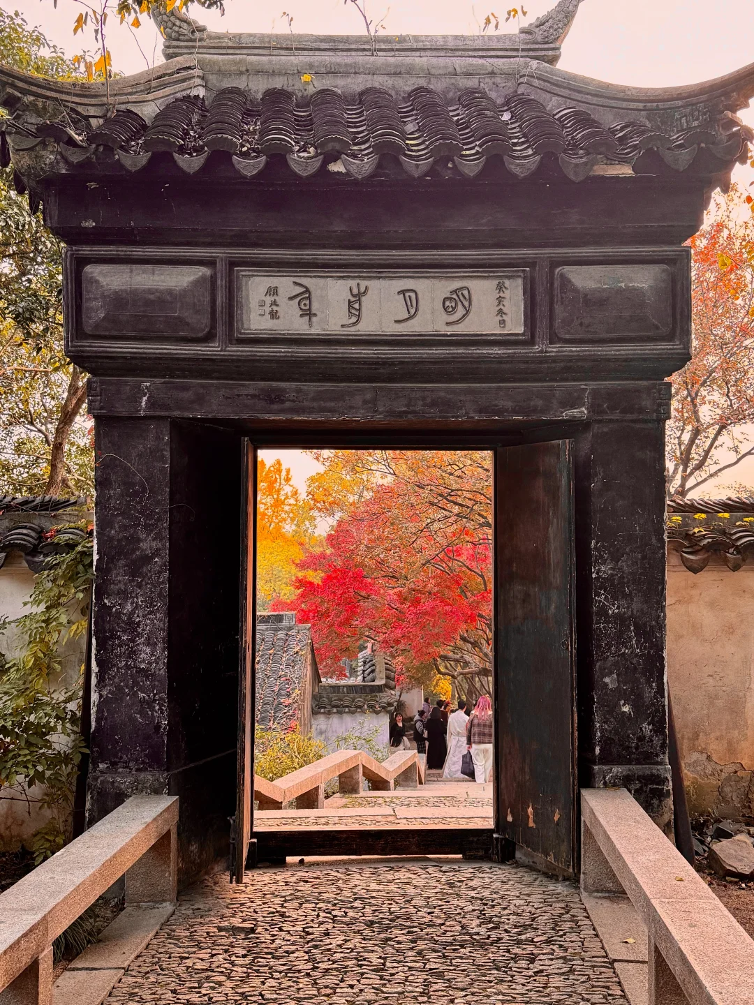live🍂接下来的苏州,是国内秋日旅行天花板