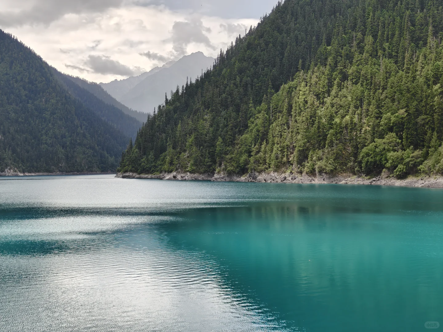 带妈妈玩成都+九寨沟（轻松版）