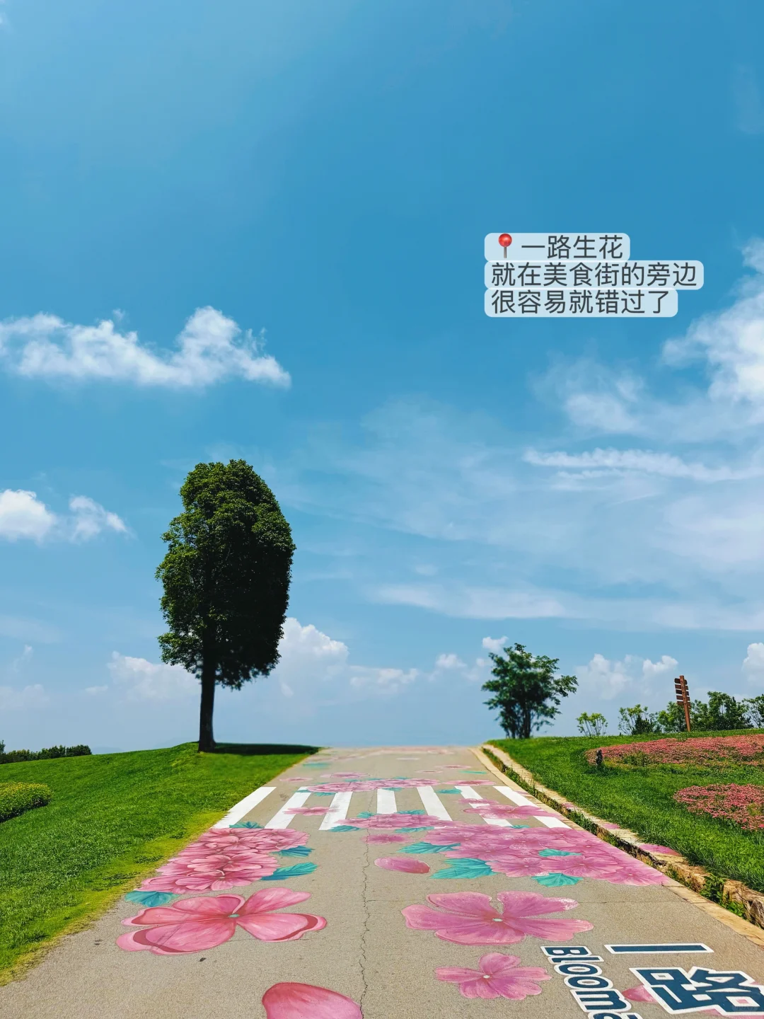 滇东南小环线 | 弥勒普者黑建水昆明