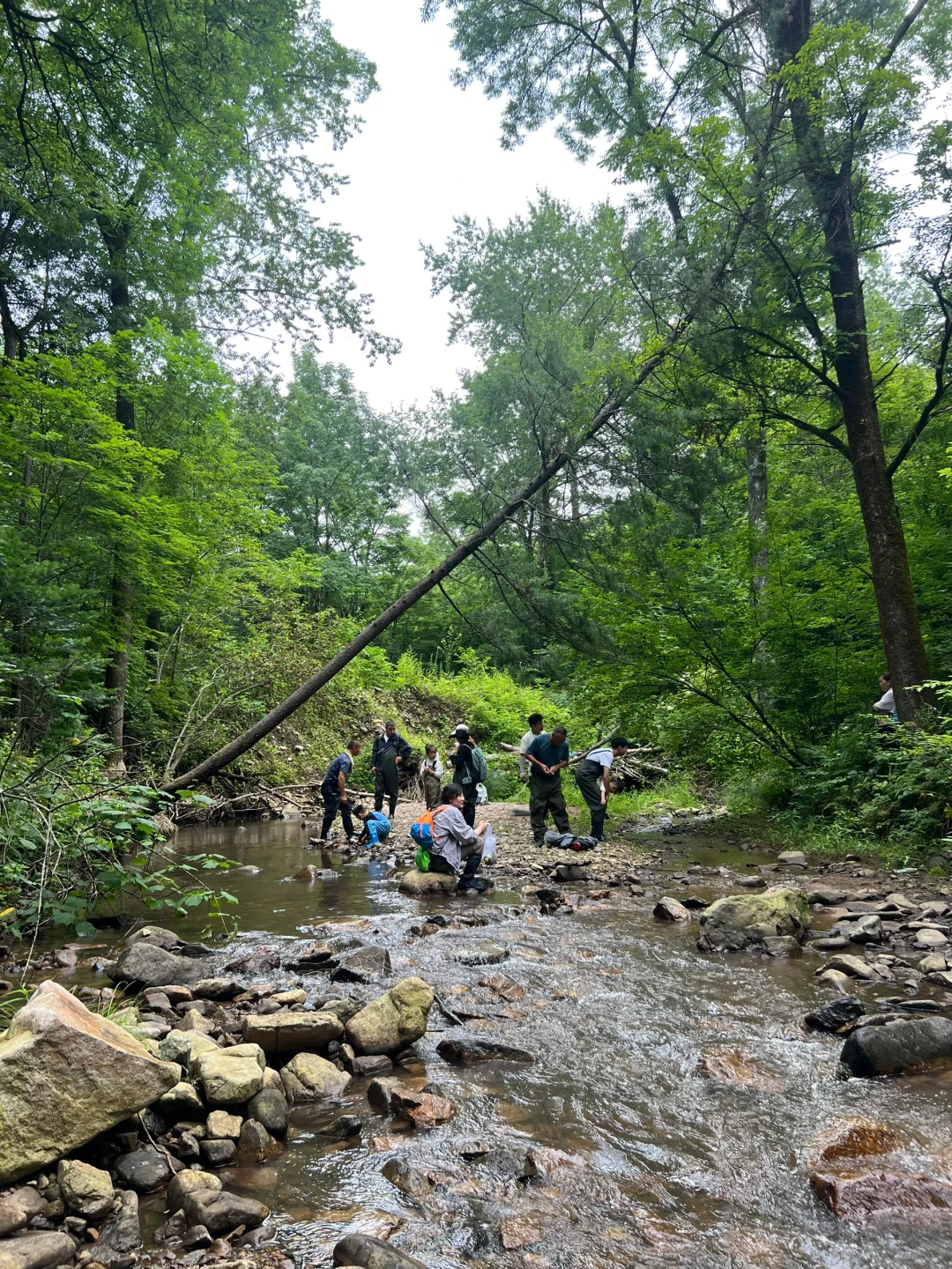 北京-延吉-长白山，逃离炎热，凉快的不真实