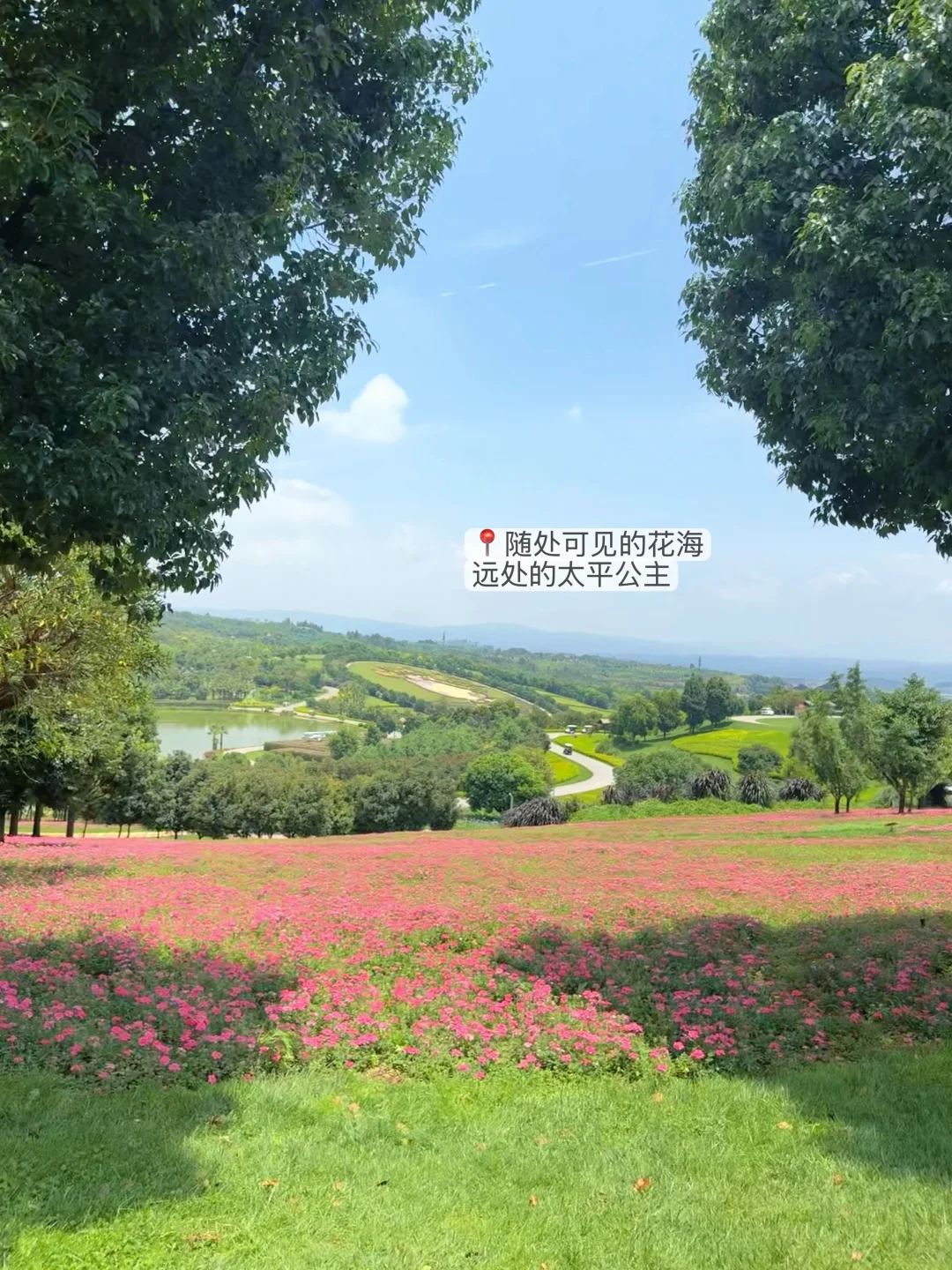 滇东南小环线 | 弥勒普者黑建水昆明