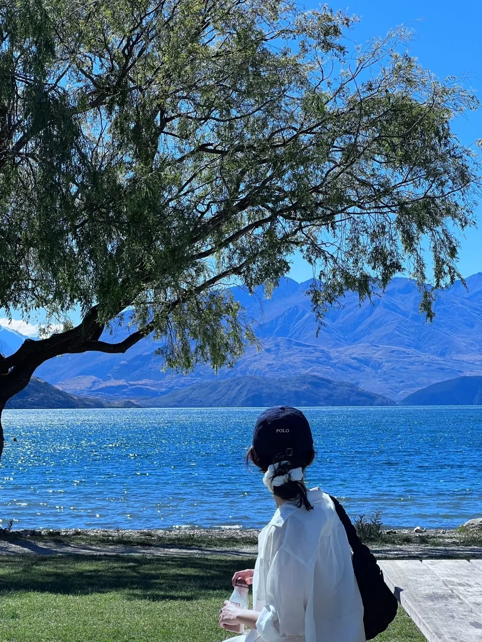 两个人去新西兰，2.5自由行已回（纯分享）