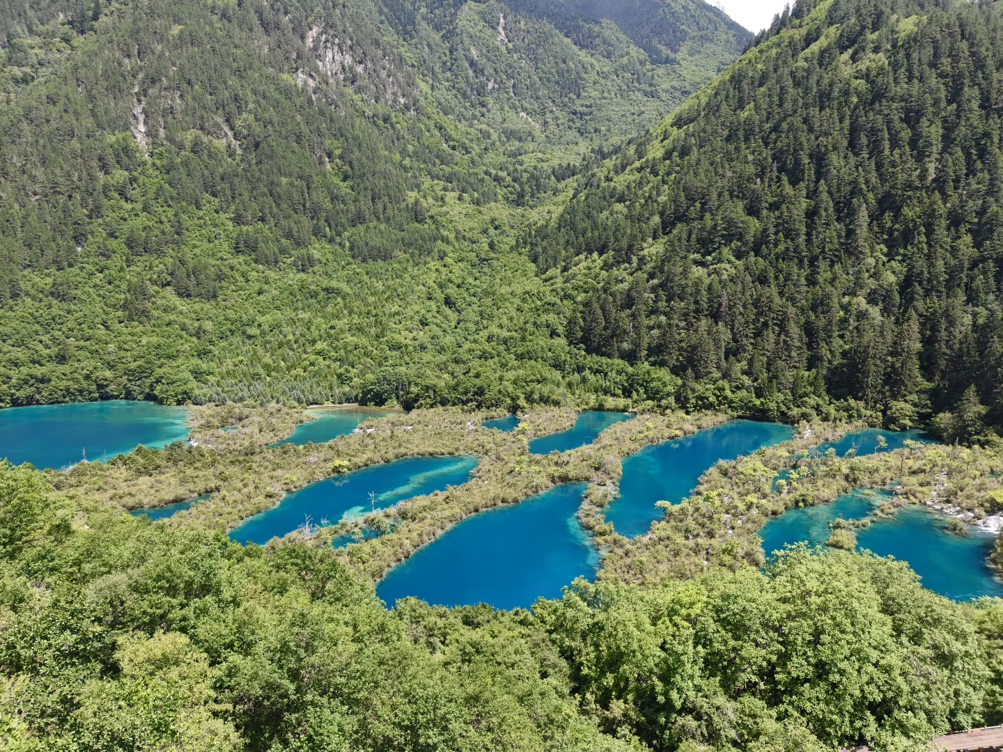 带妈妈玩成都+九寨沟（轻松版）