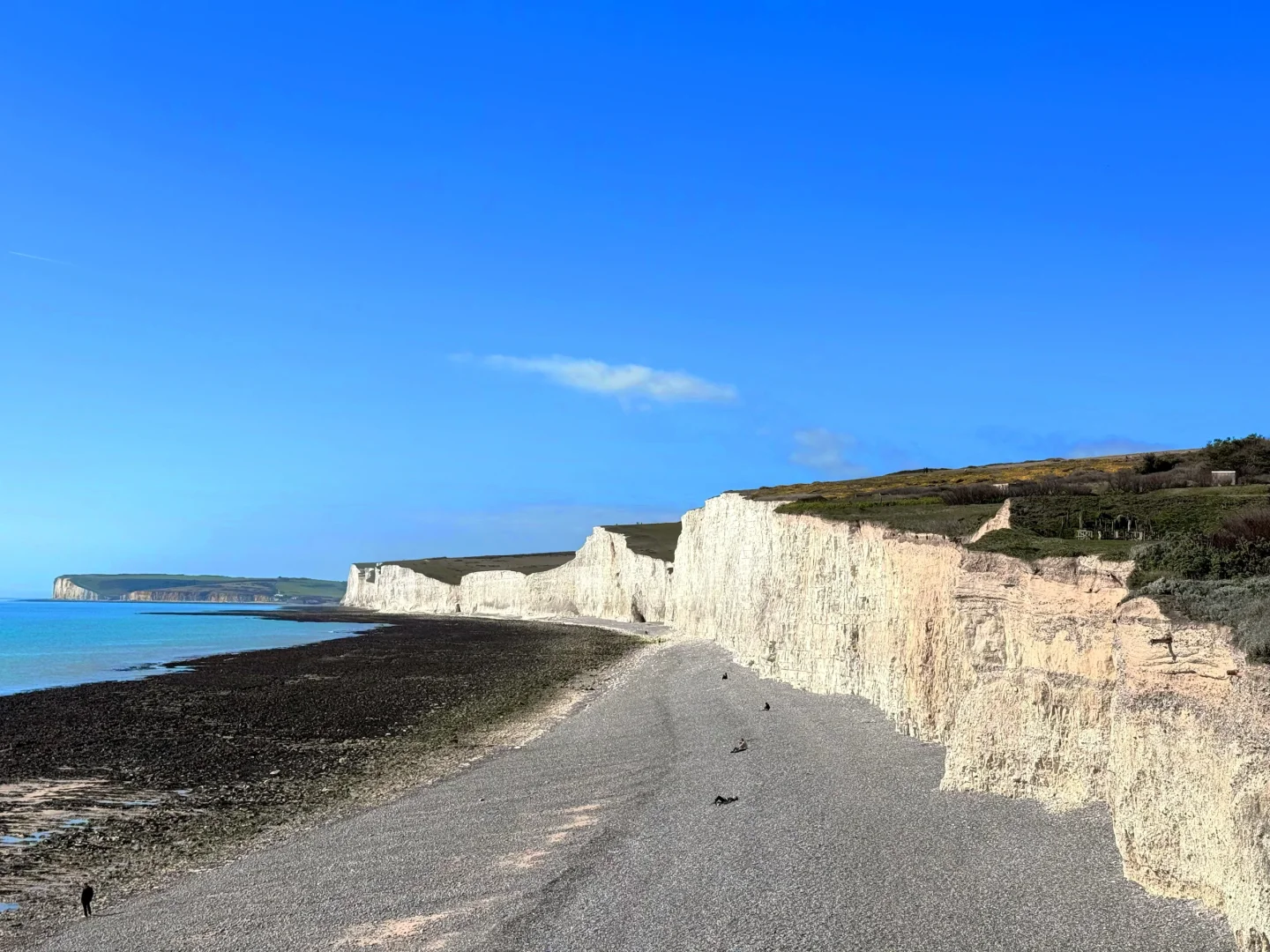 在白崖真的可以原谅全世界🌊