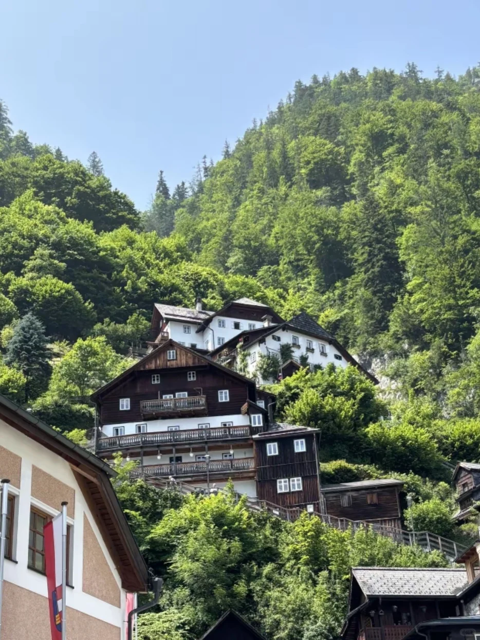 😫奥捷匈已回，劝大家别再信小红书乱说了