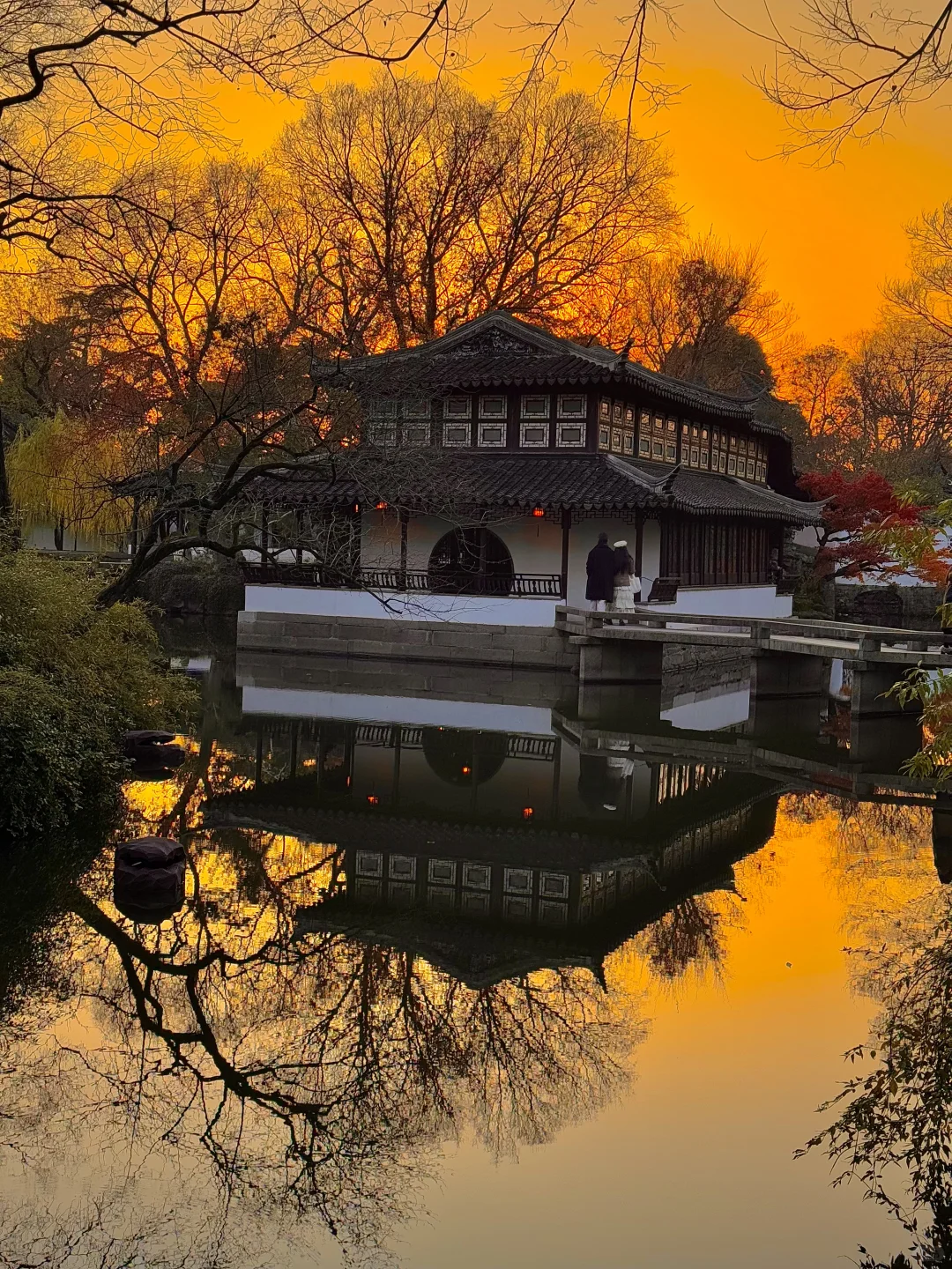 live🍂接下来的苏州,是国内秋日旅行天花板