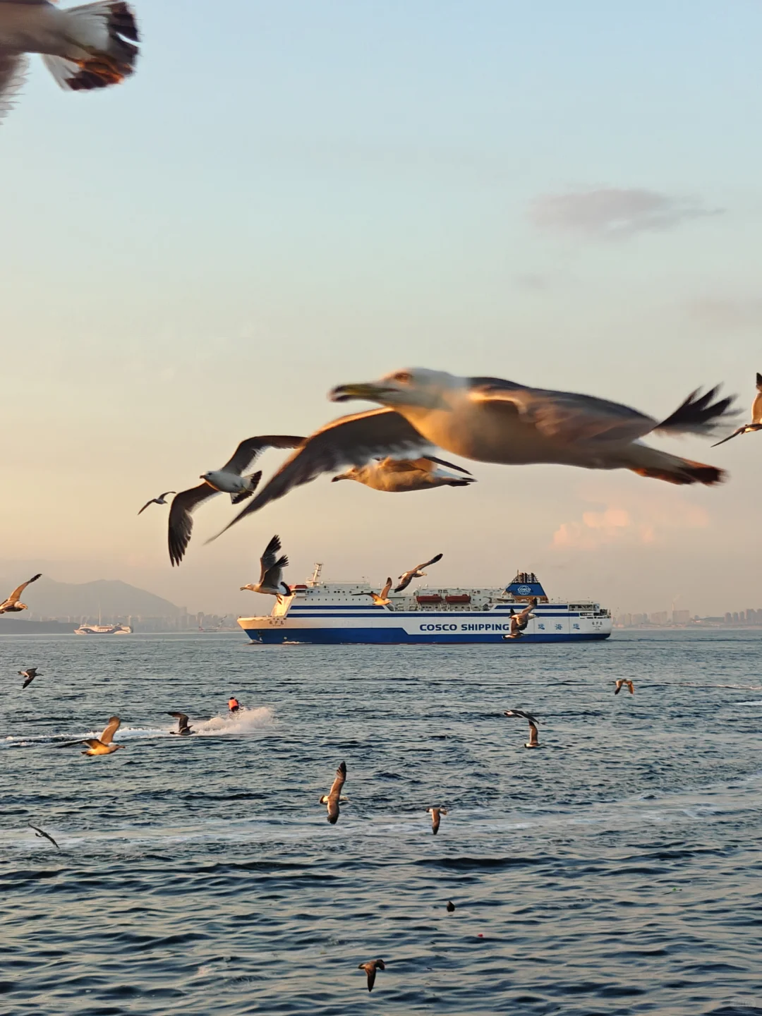 迄今为止，我和娃最喜欢的海滨城市出现了！