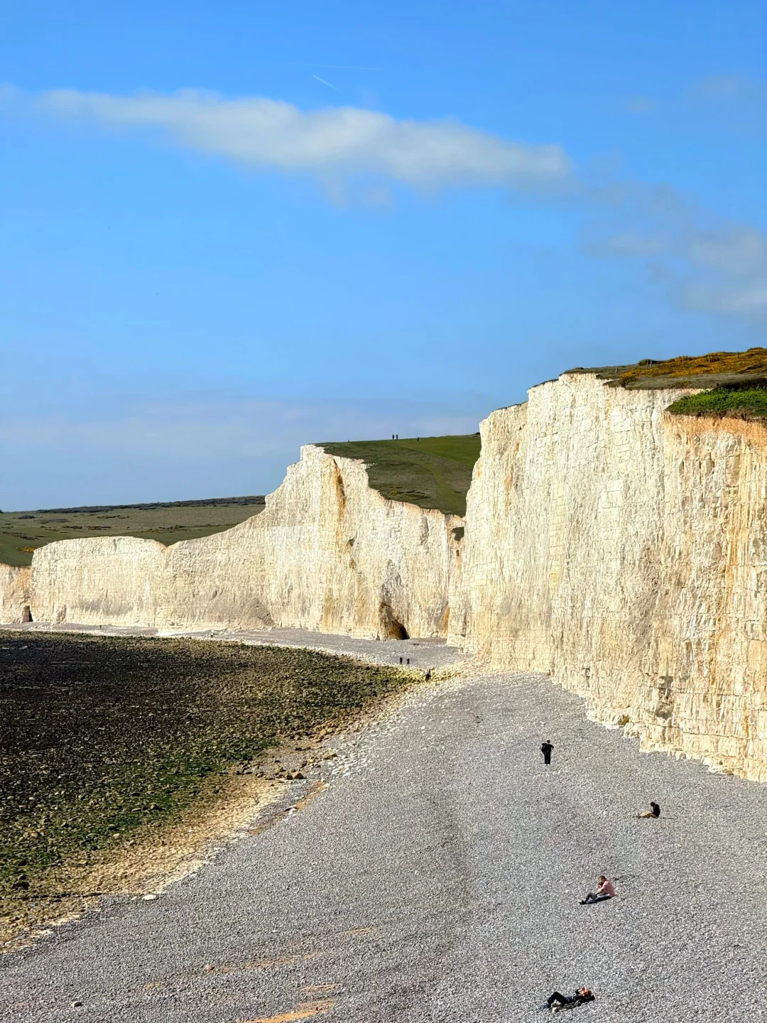 在白崖真的可以原谅全世界🌊