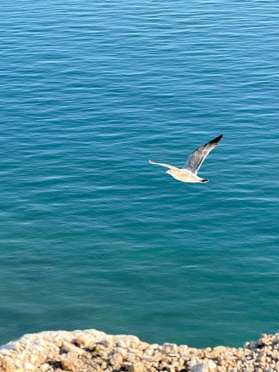 在白崖真的可以原谅全世界🌊