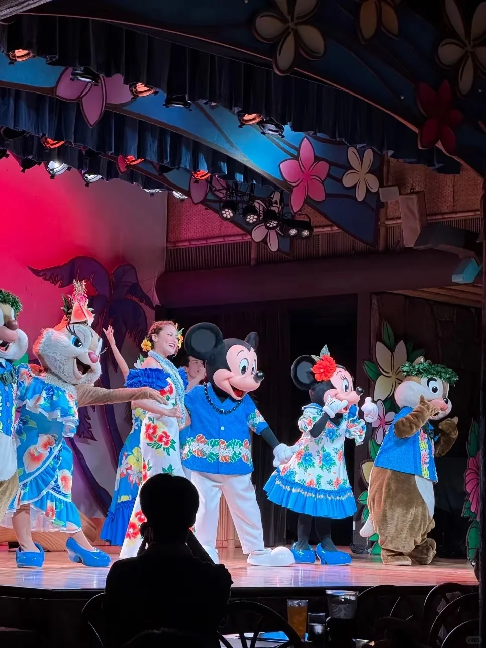 带女儿去日本旅游已回，我的感受和避雷